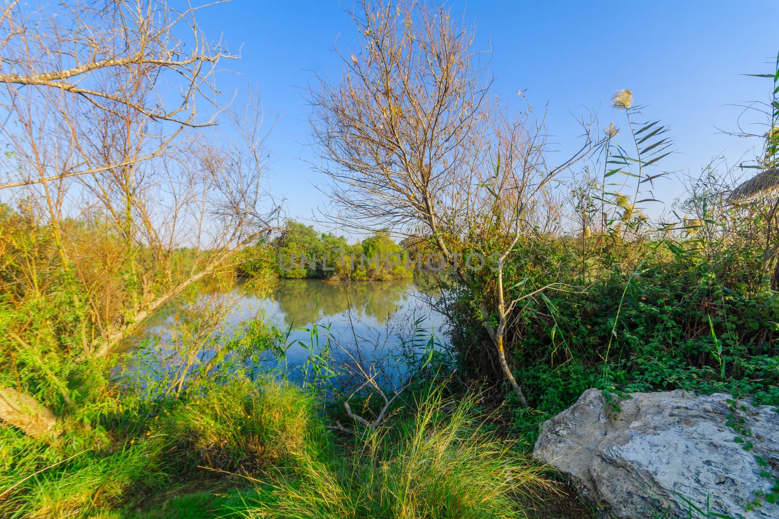 Pond, in En Afek nature reserve by RnDmS