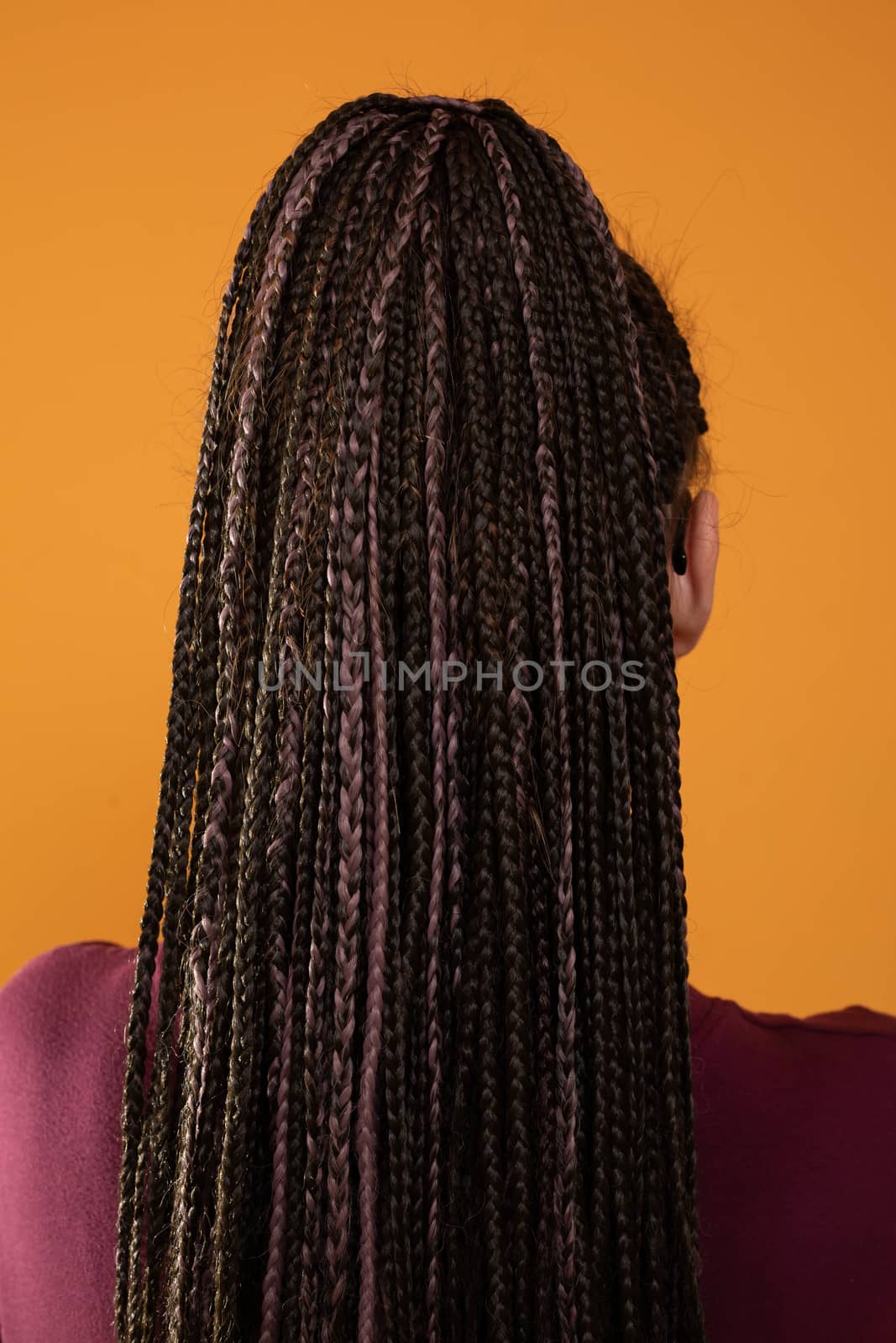 Braids intertwined on the head of a young girl. Back view of loose hair all in small pigtails.