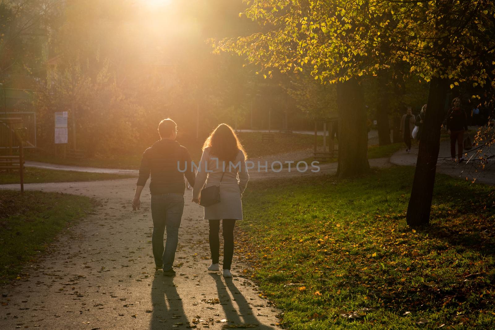 11/14/2020. Park Stromovka. Prague czech Republic. A couple walking holding hands on a beautiful sunny day in the park on a Sunday winter day.