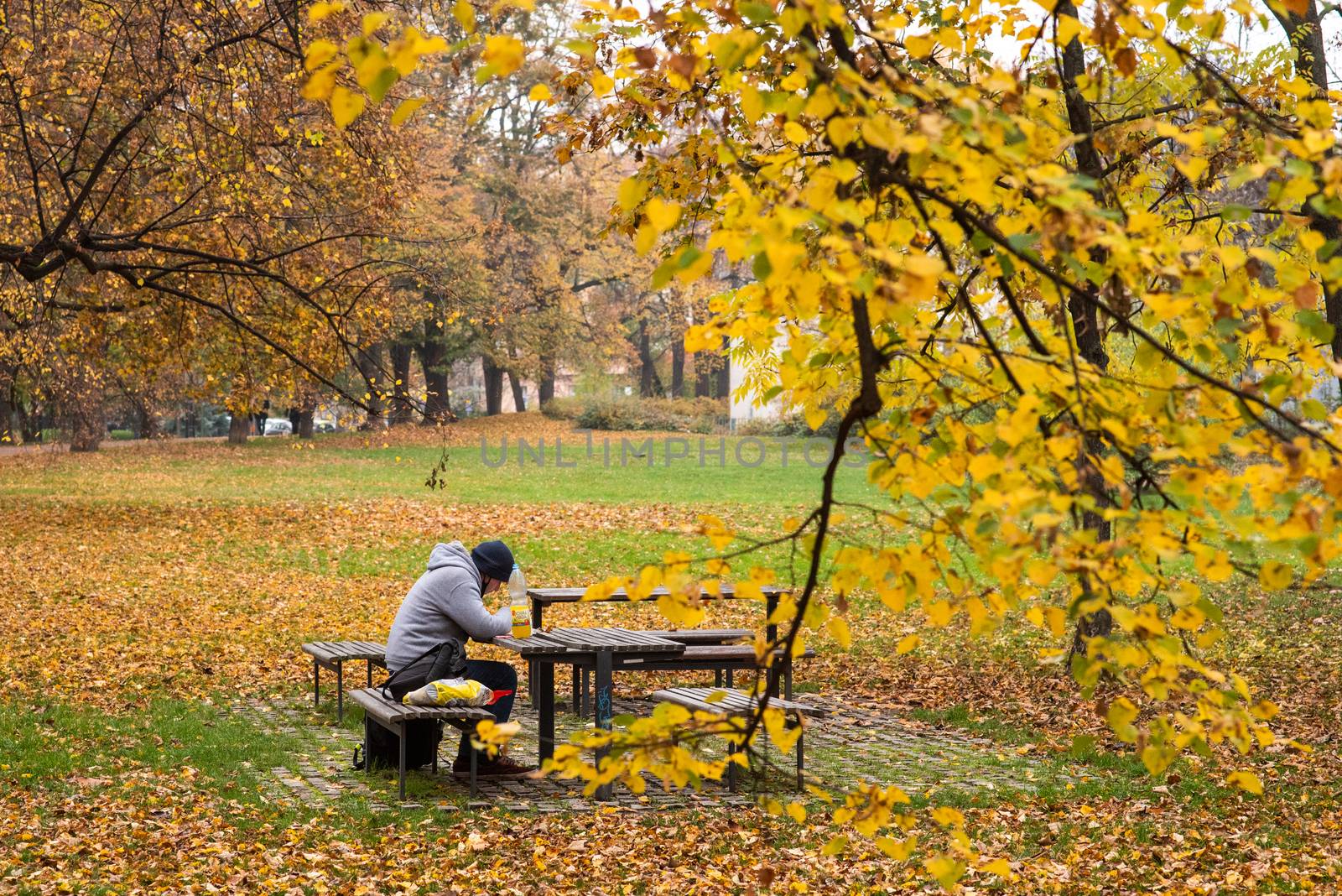 11/14/2020. Park Stromovka. Prague czech Republic. A man is sitting on a bench in the park on a Sunday winter day.