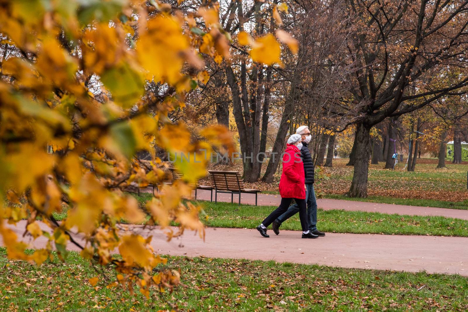 11/14/2020. Park Stromovka. Prague czech Republic. A cuoplel is walking in the park on a Sunday winter day. by gonzalobell