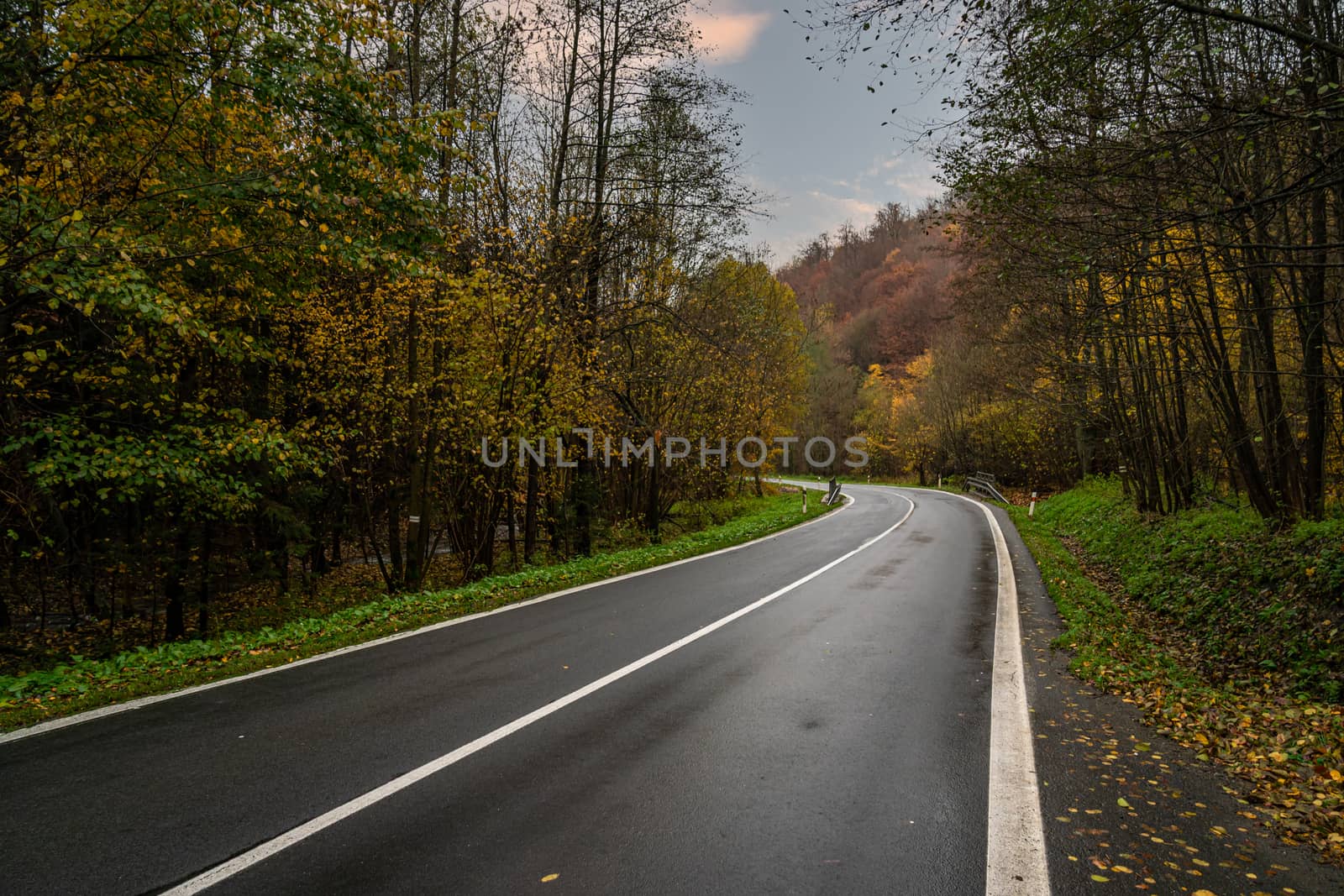asphalt road in nature, orange autumn forest by Edophoto