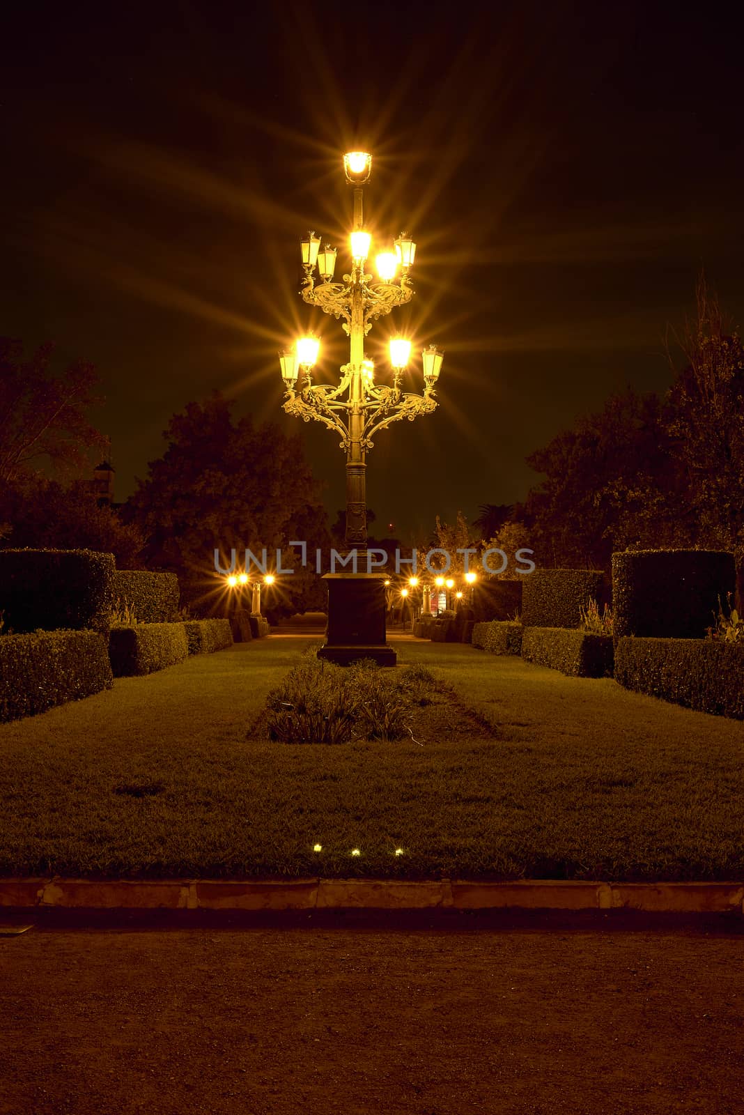 Ornamental lamppost in beautiful romantic night garden, candles, solitary, warm