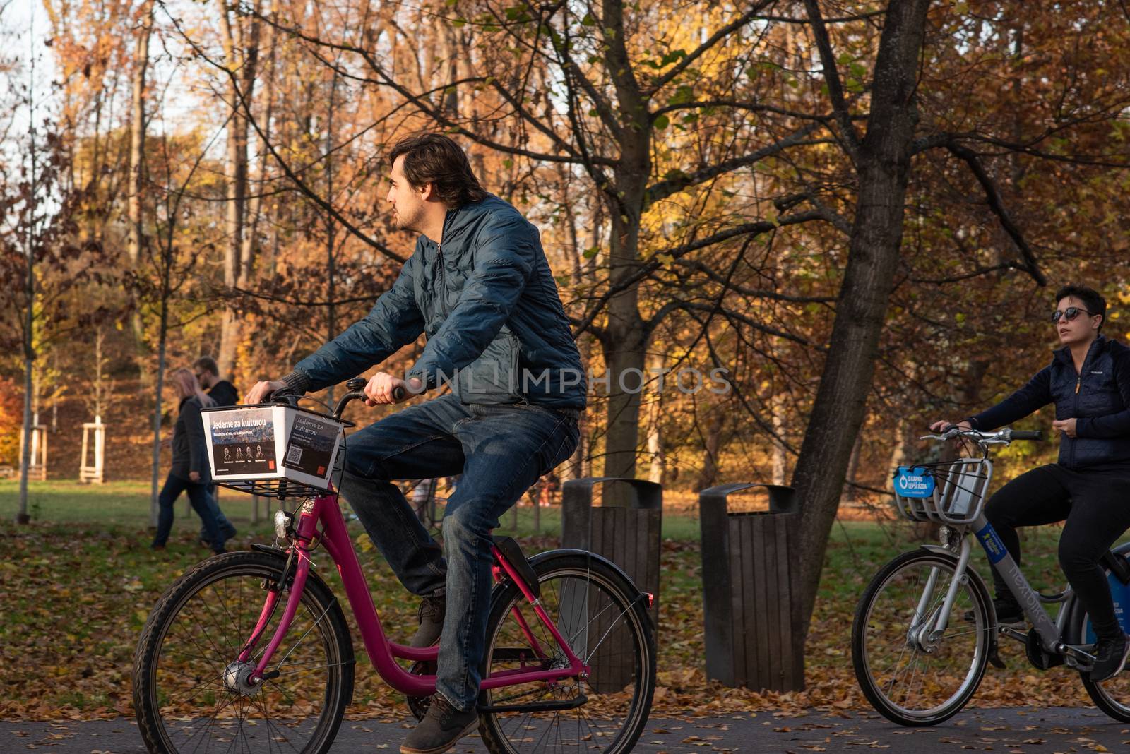 11/14/2020. Park Stromovka. Prague. Czech Republic. A man is riding his bike at the park on a winter day. by gonzalobell