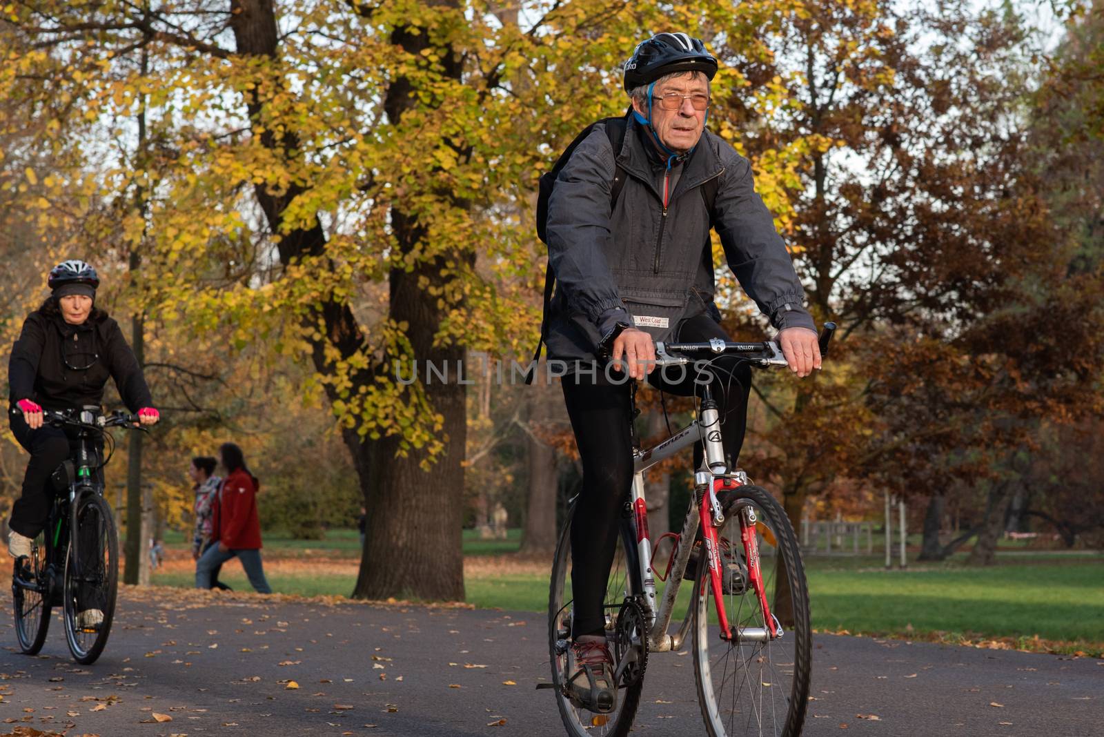 11/14/2020. Park Stromovka. Prague. Czech Republic. A man is riding his bike at the park on a winter da by gonzalobell