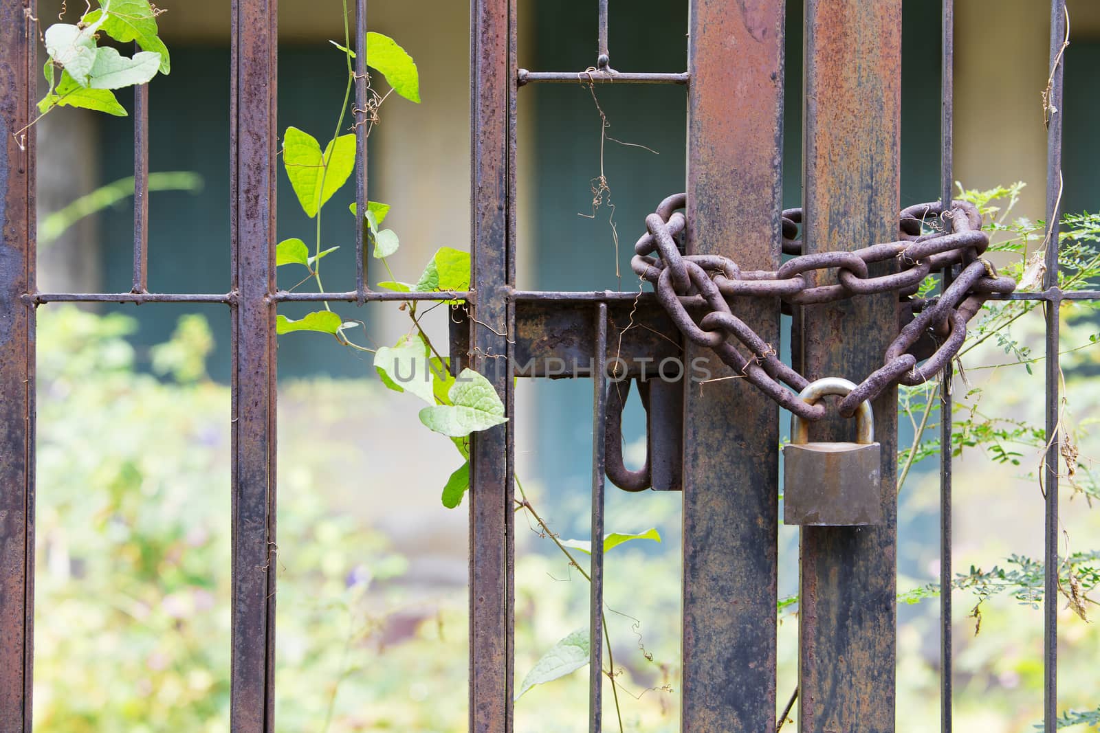 Padlock lasso with rusty chain in the old house. by jayzynism