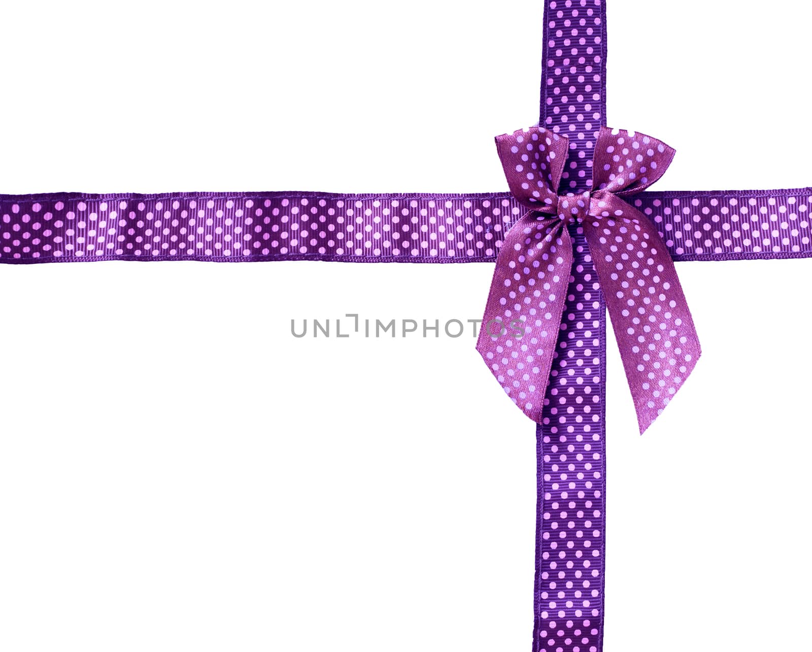 Shiny Ribbon purple (bow) gird box frame isolated on white backg by jayzynism