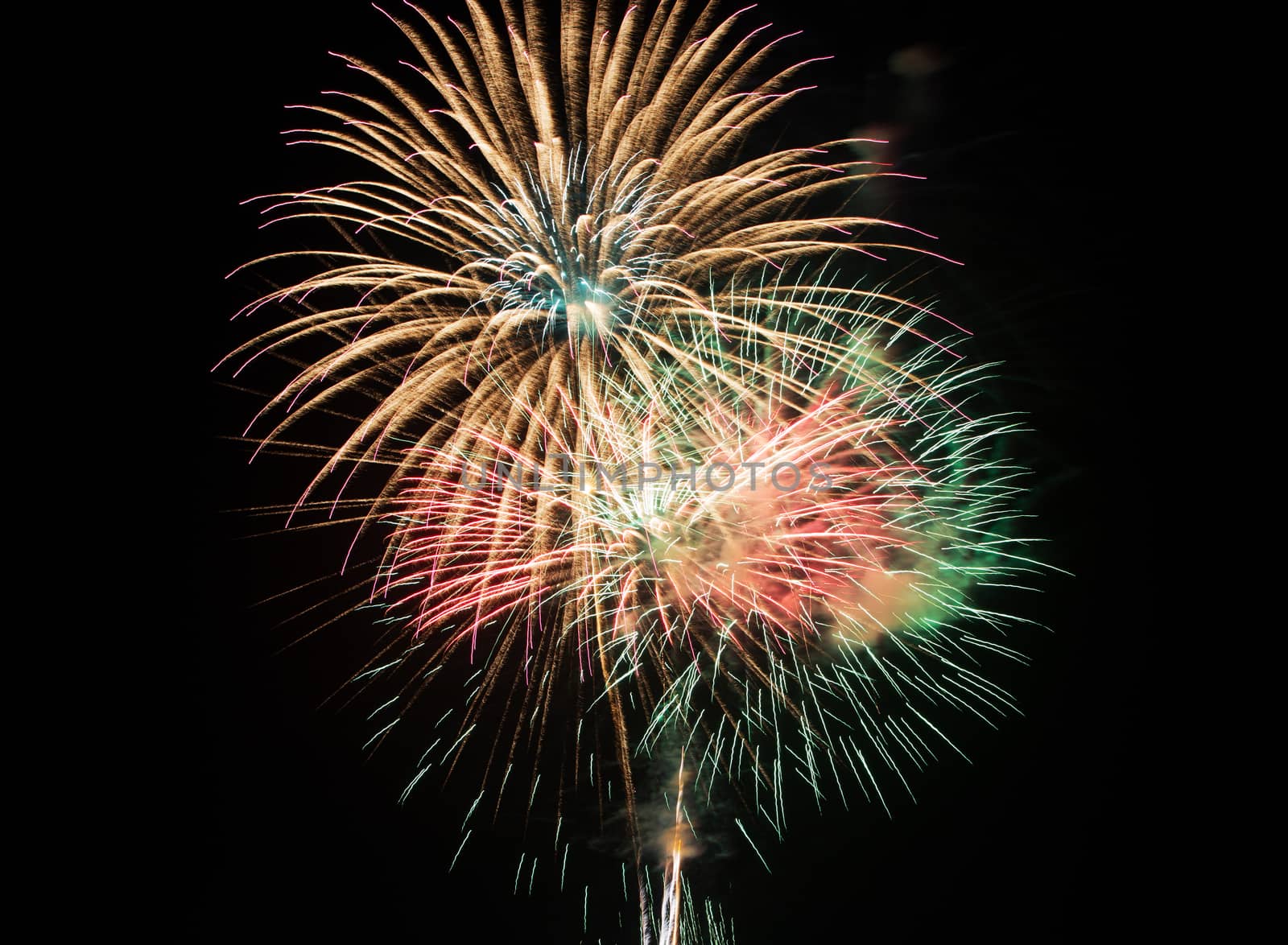 Beautiful colorful firework on the sky at night.