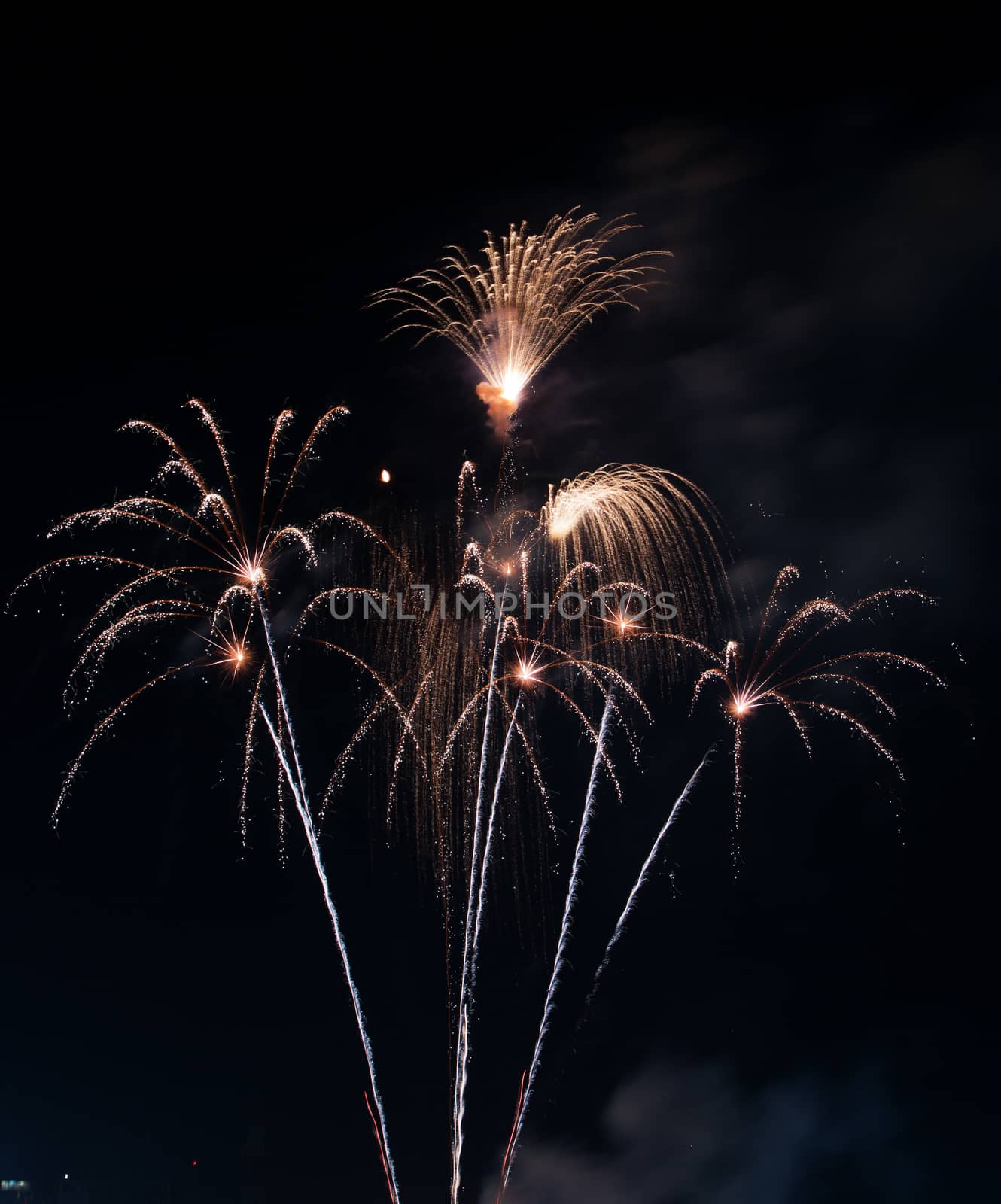 Beautiful firework on the sky at night.