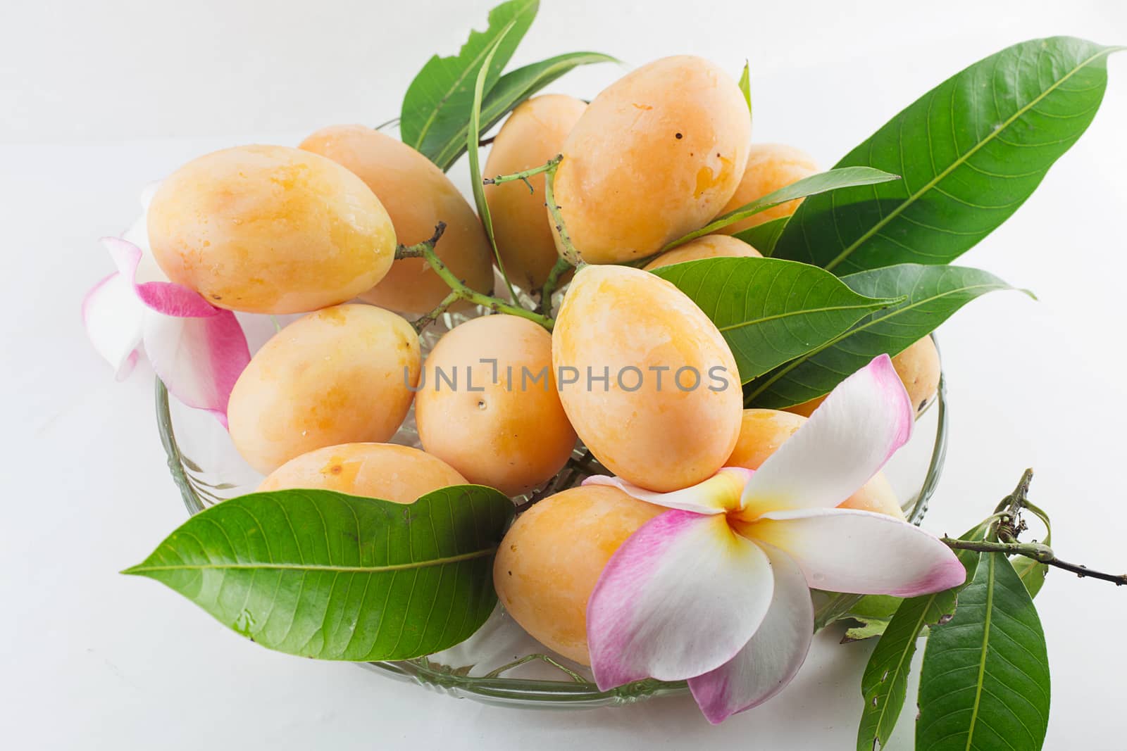 Maprang Marian Plum or Plum Mango on dish isolated white backgro by jayzynism