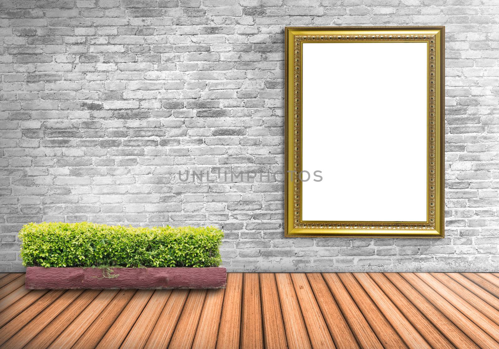 Blank frame vintage on a concrete wall with tree pot on wood flo by jayzynism