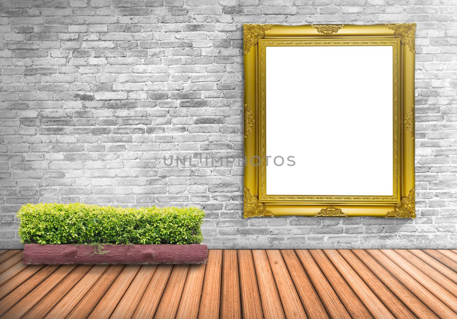 Blank frame vintage on a concrete wall with tree pot on wood floor : Fill photo and text