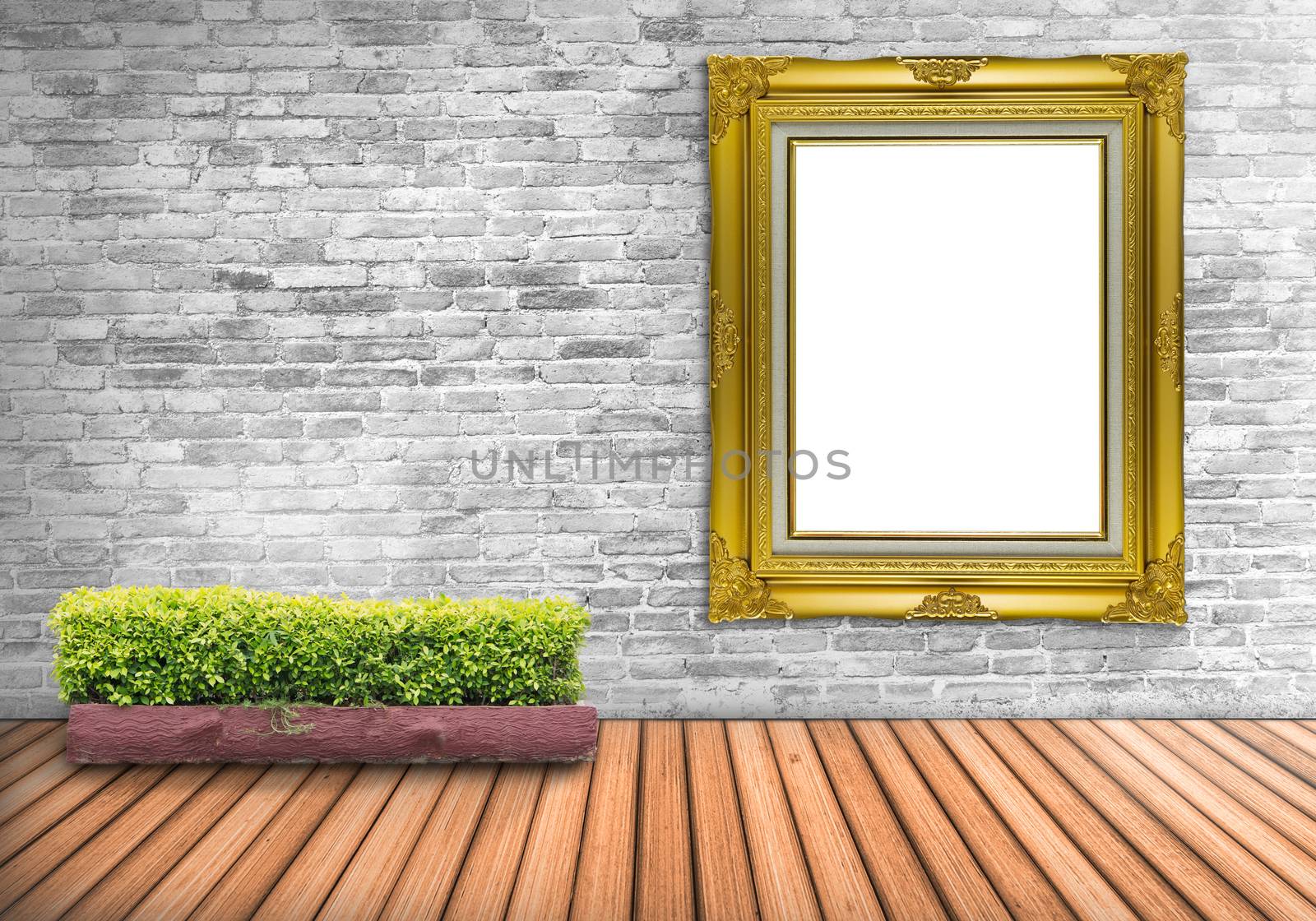 Big Blank frame vintage on a concrete wall with tree pot on wood by jayzynism