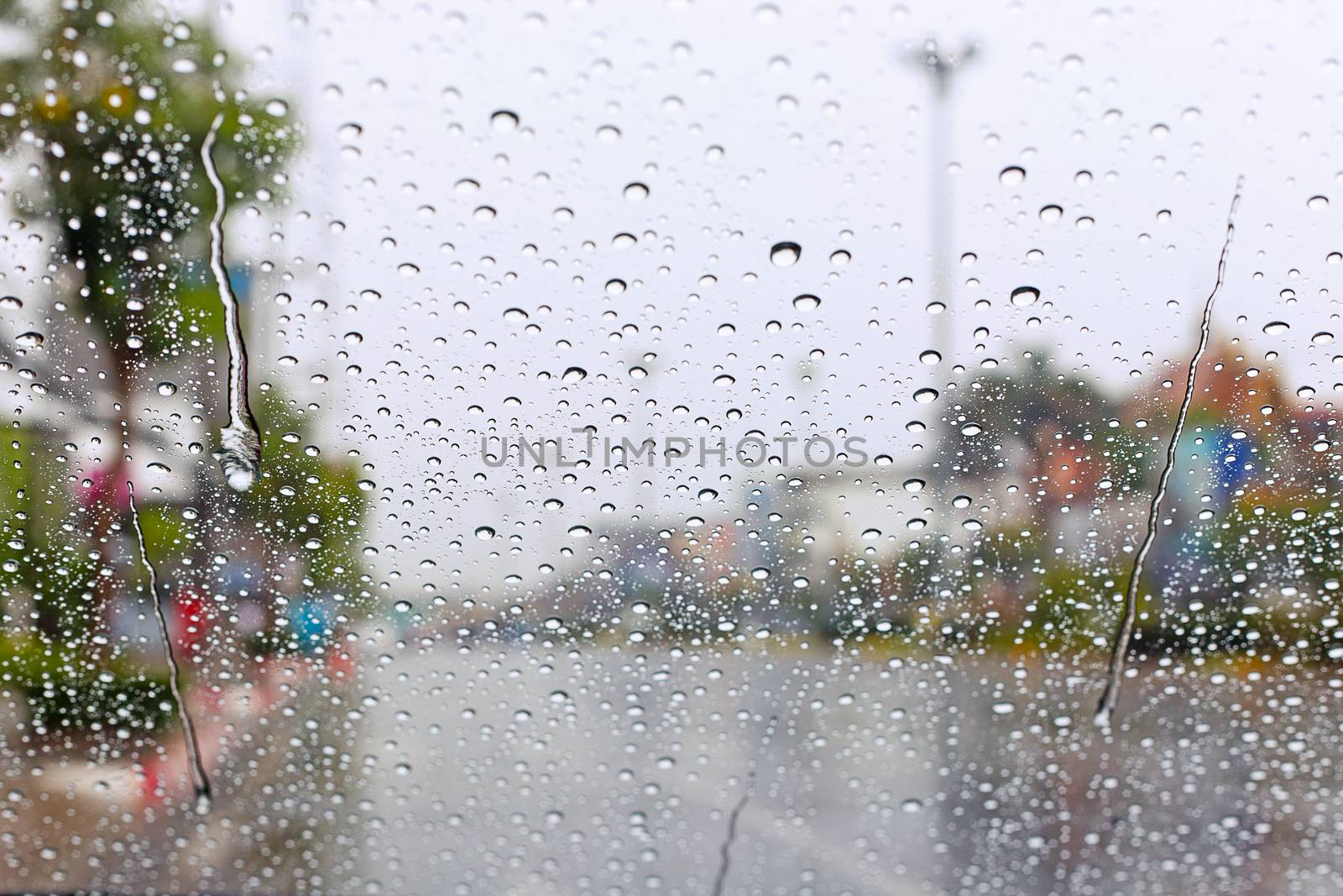 Windshield rain drop on car window.
