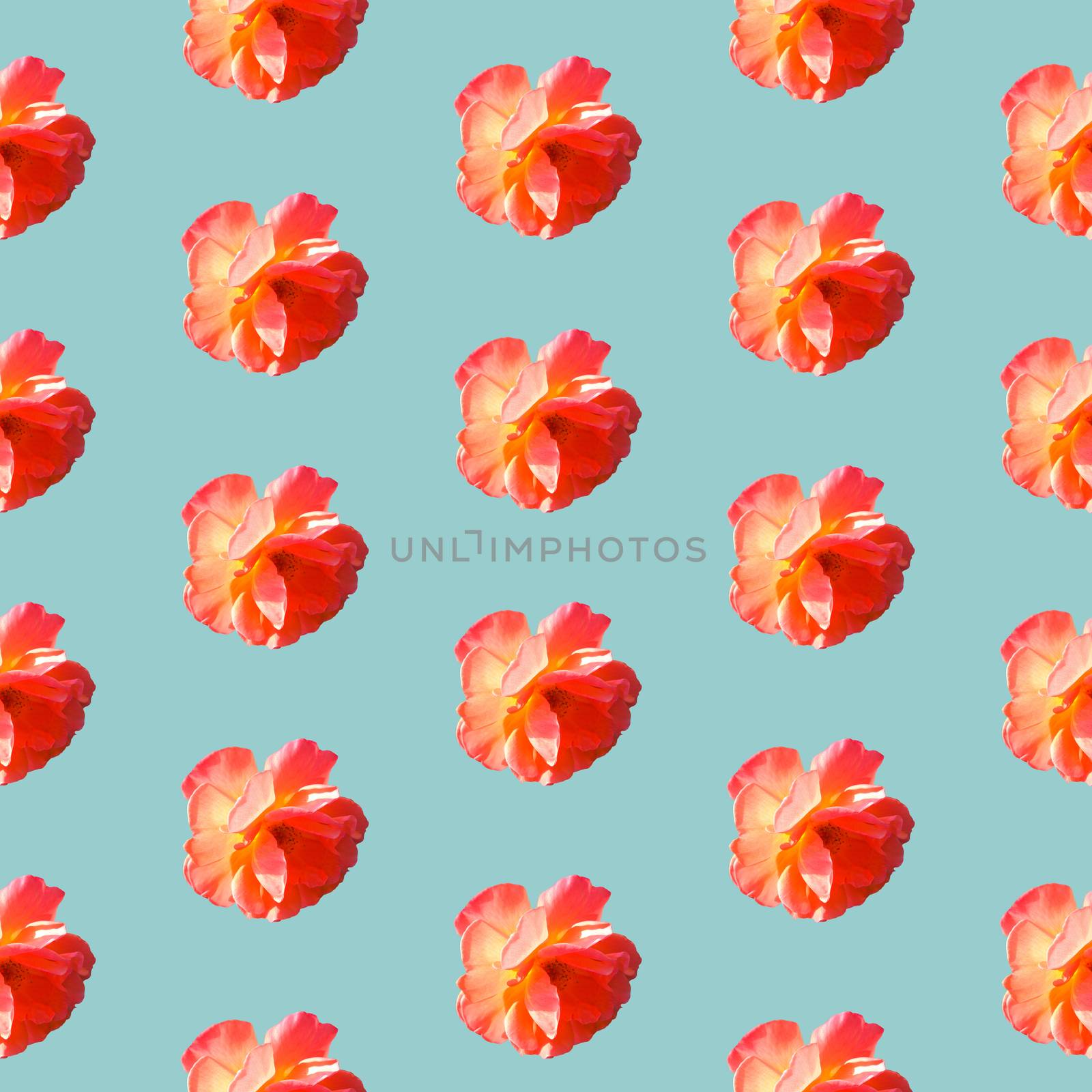 Seamless pattern with roses on a light gray-blue background. Flat lay, top view. Pop art creative design for textile, fashion, wallpaper, fabric, wrapping paper.
