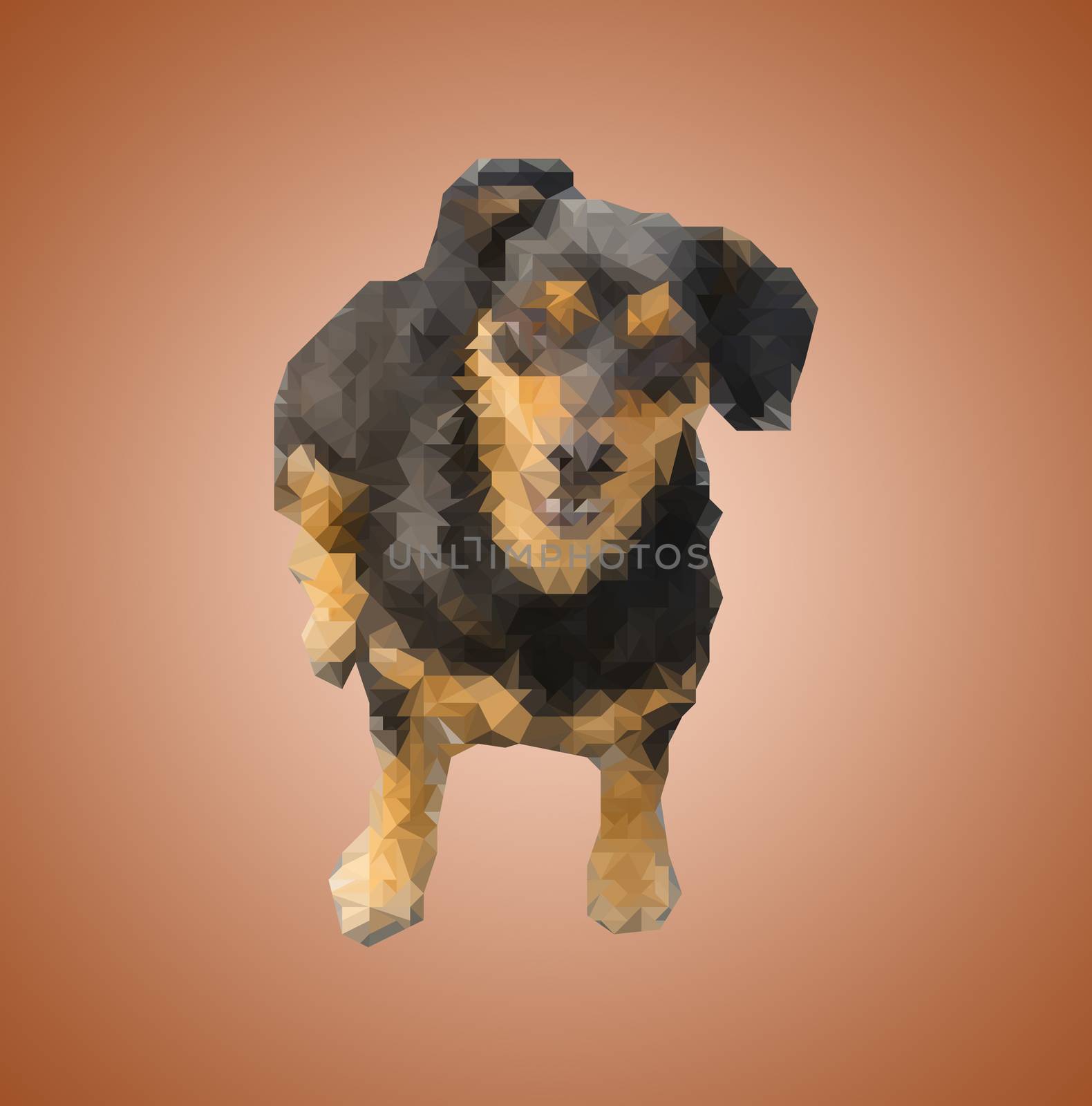 Poly Black-brown Dachshund sit down. by jayzynism