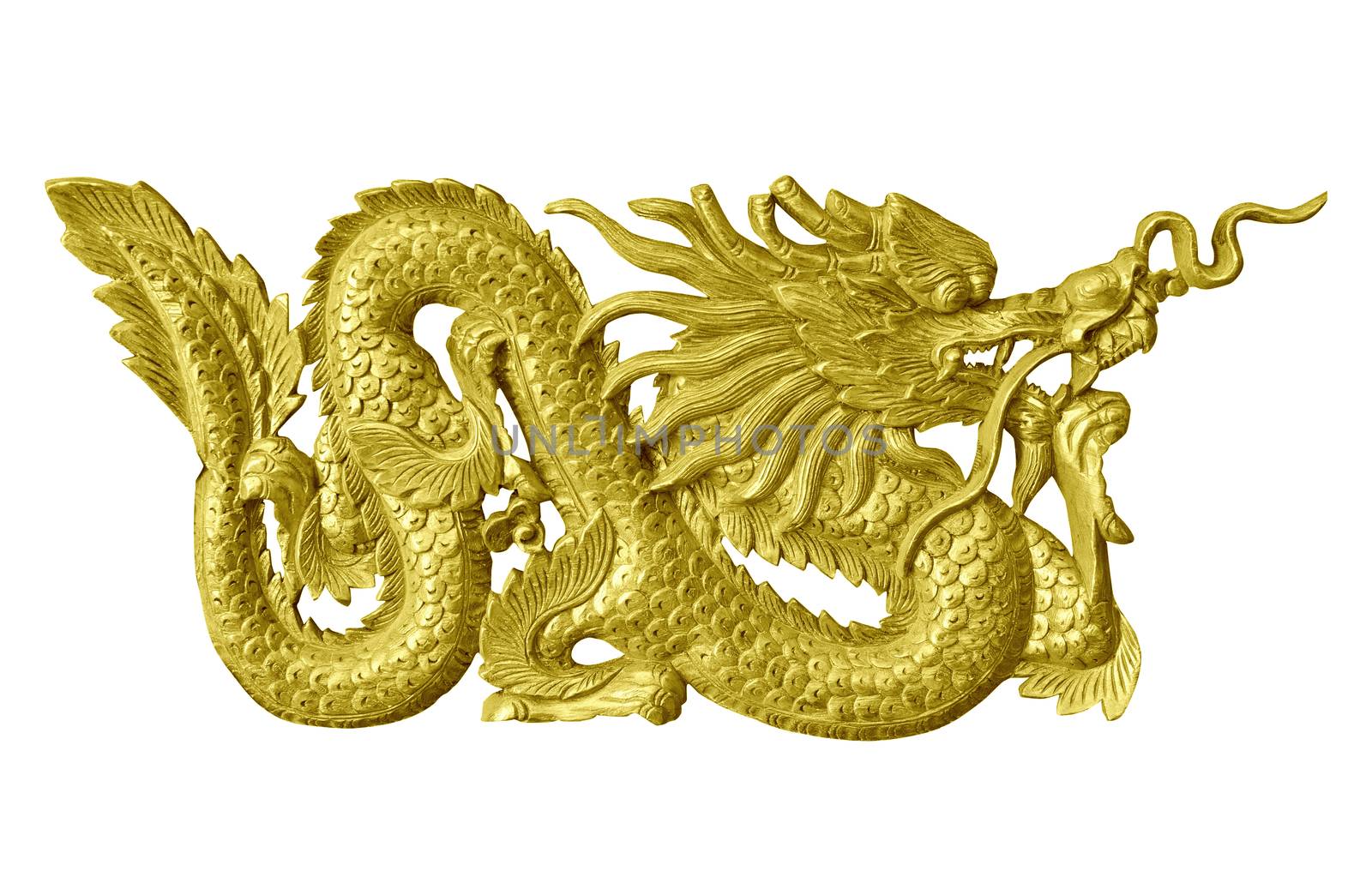 Golden dragon statue isolated white background. by jayzynism