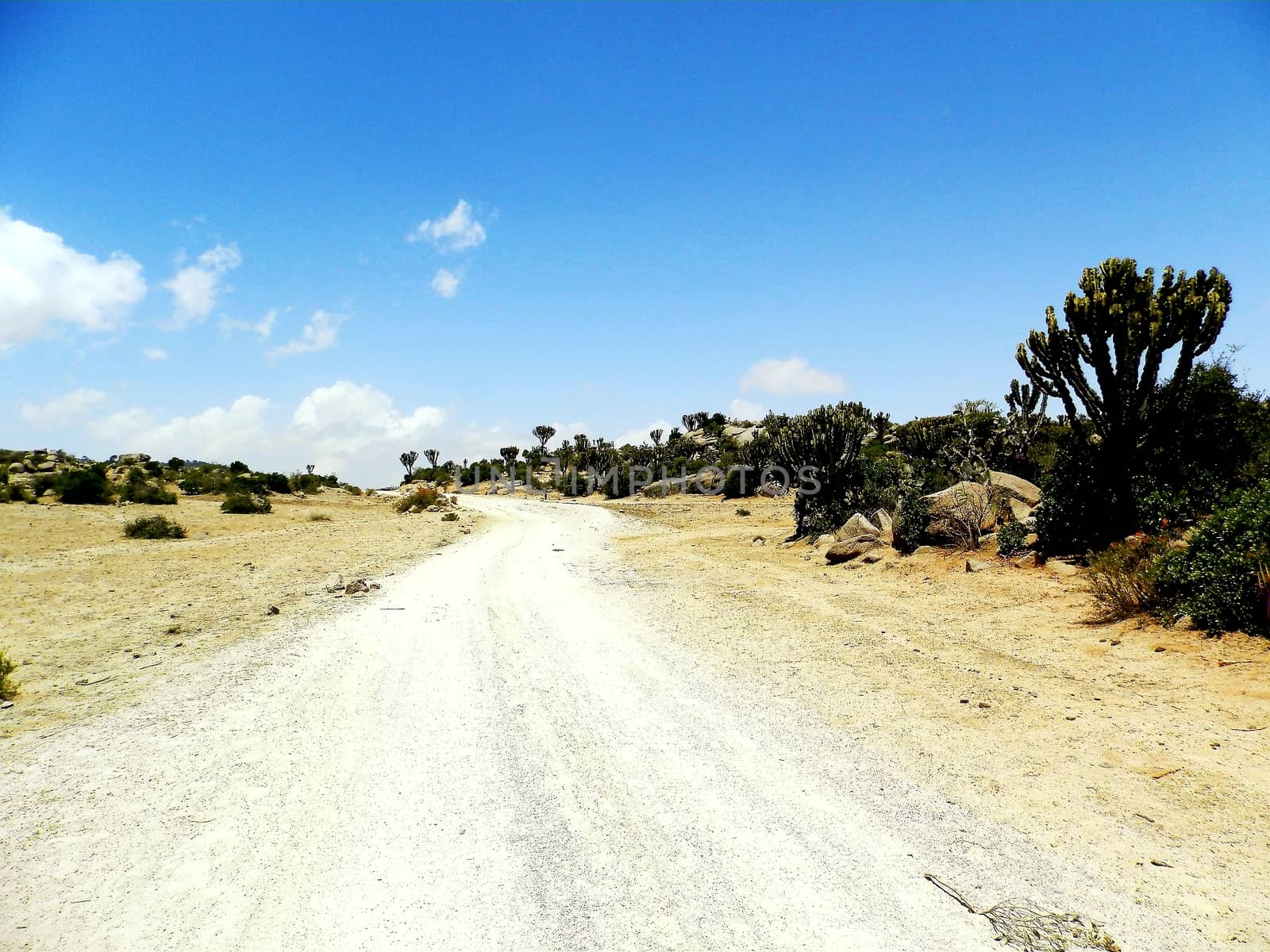 Tesseney, Eritrea - 10/11/2020: Beautiful photography of the landscape from the villages near the bord from Ethiopia. Old desert villages with some domestic animals.