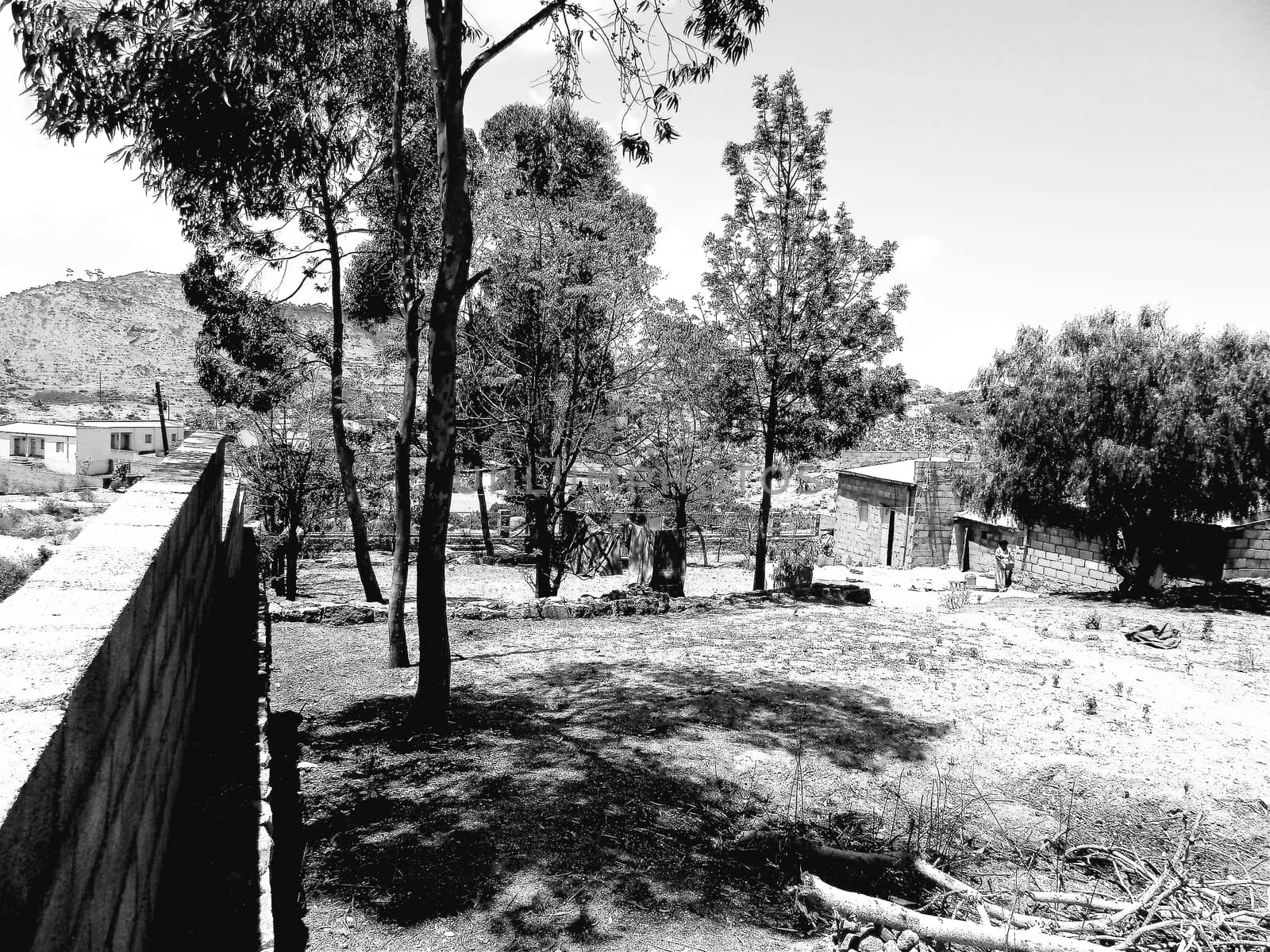 Tesseney, Eritrea - 10/11/2020: Beautiful photography of the landscape from the villages near the bord from Ethiopia. Old desert villages with some domestic animals.