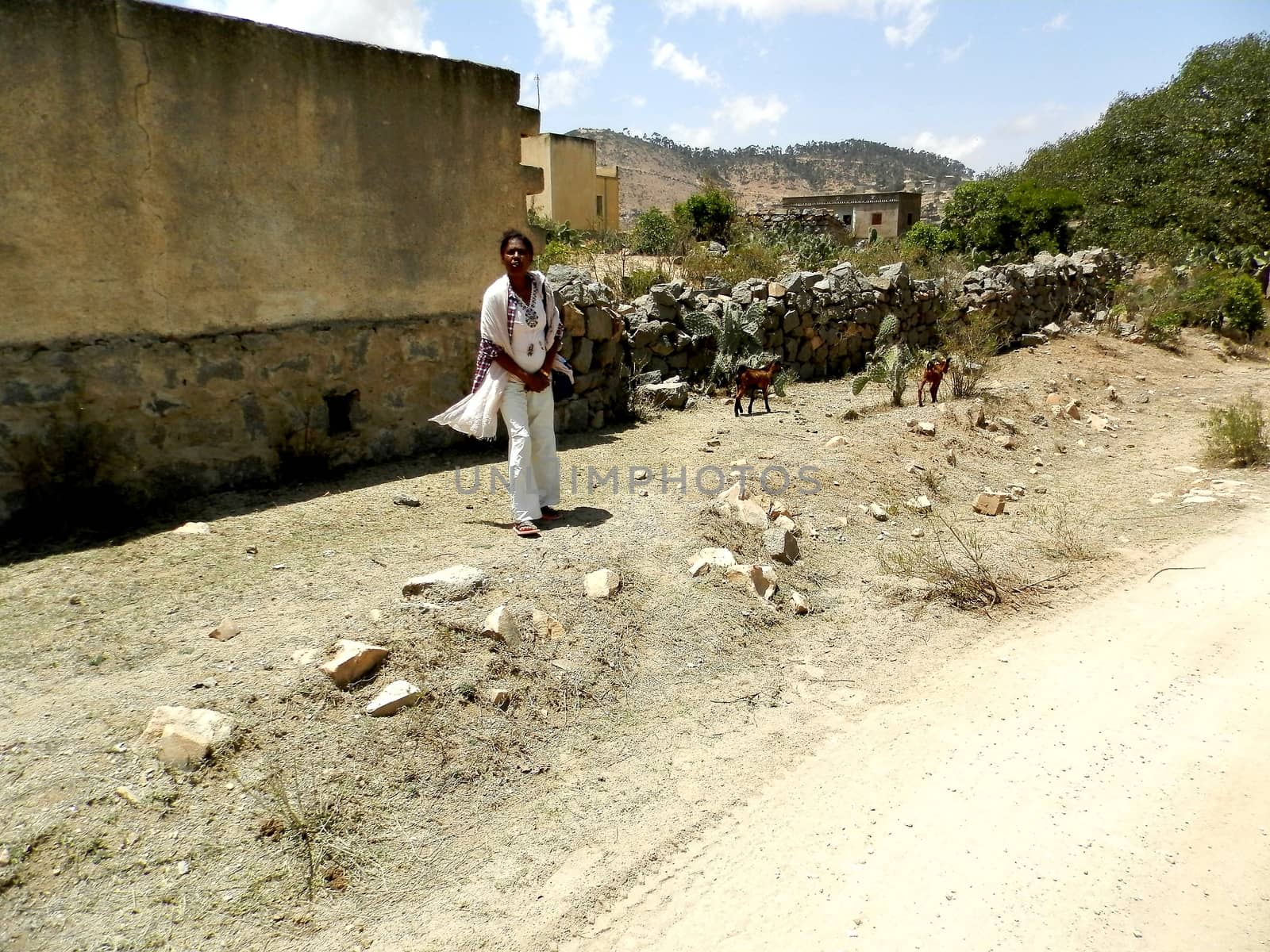 Tesseney, Eritrea - 10/11/2020: Beautiful photography of the landscape from the villages near the bord from Ethiopia. Old desert villages with some domestic animals.