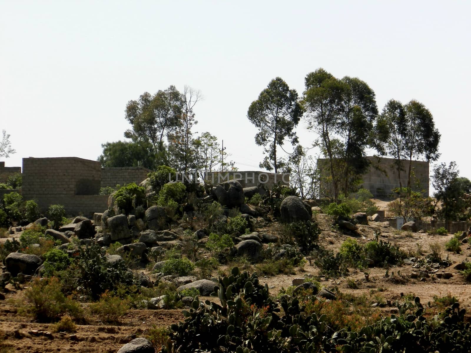 Beautiful photography of the landscape from the villages near the bord from Ethiopia by yohananegusse