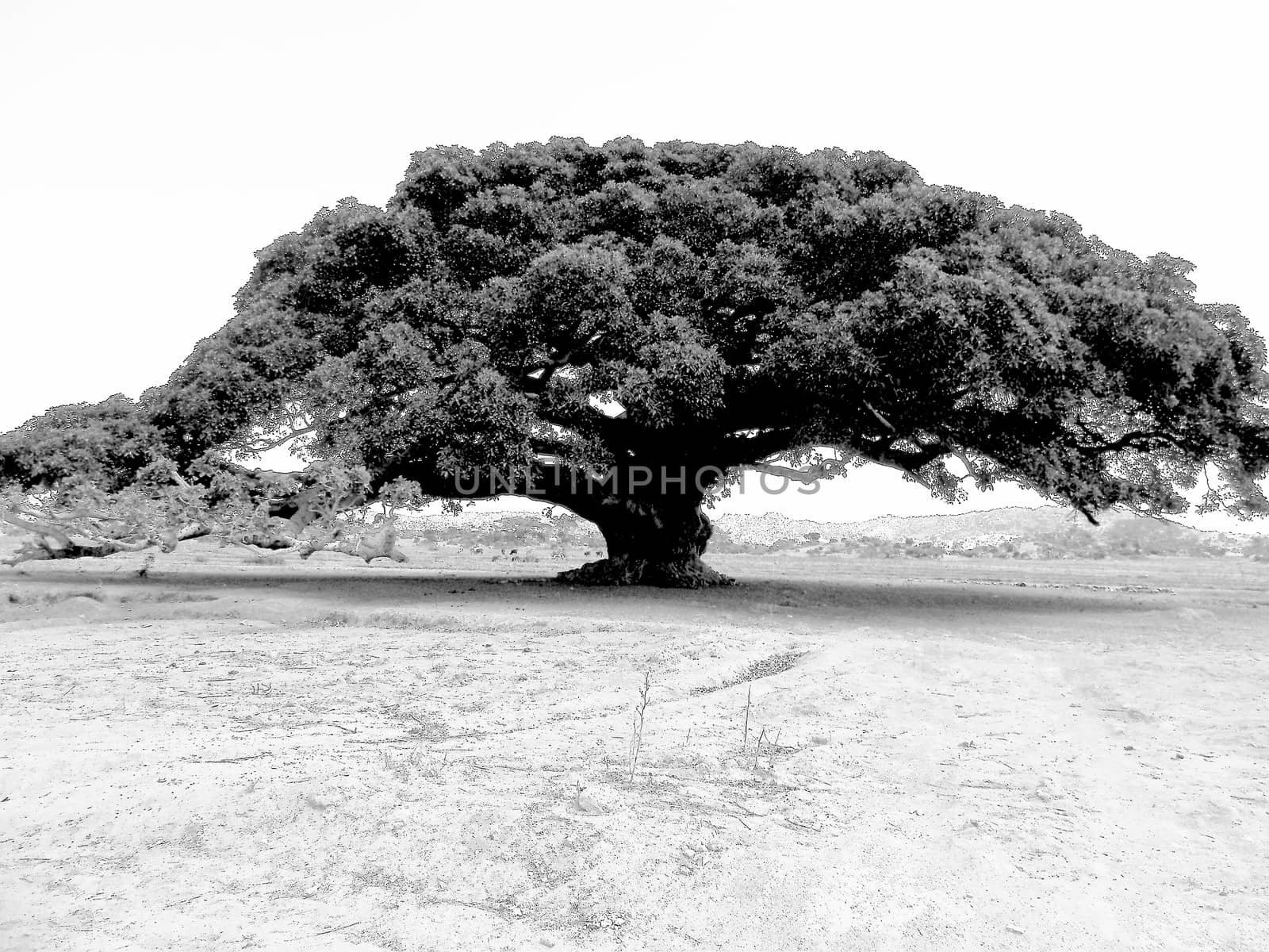 Beautiful photography of the landscape from the villages near the bord from Ethiopia by yohananegusse