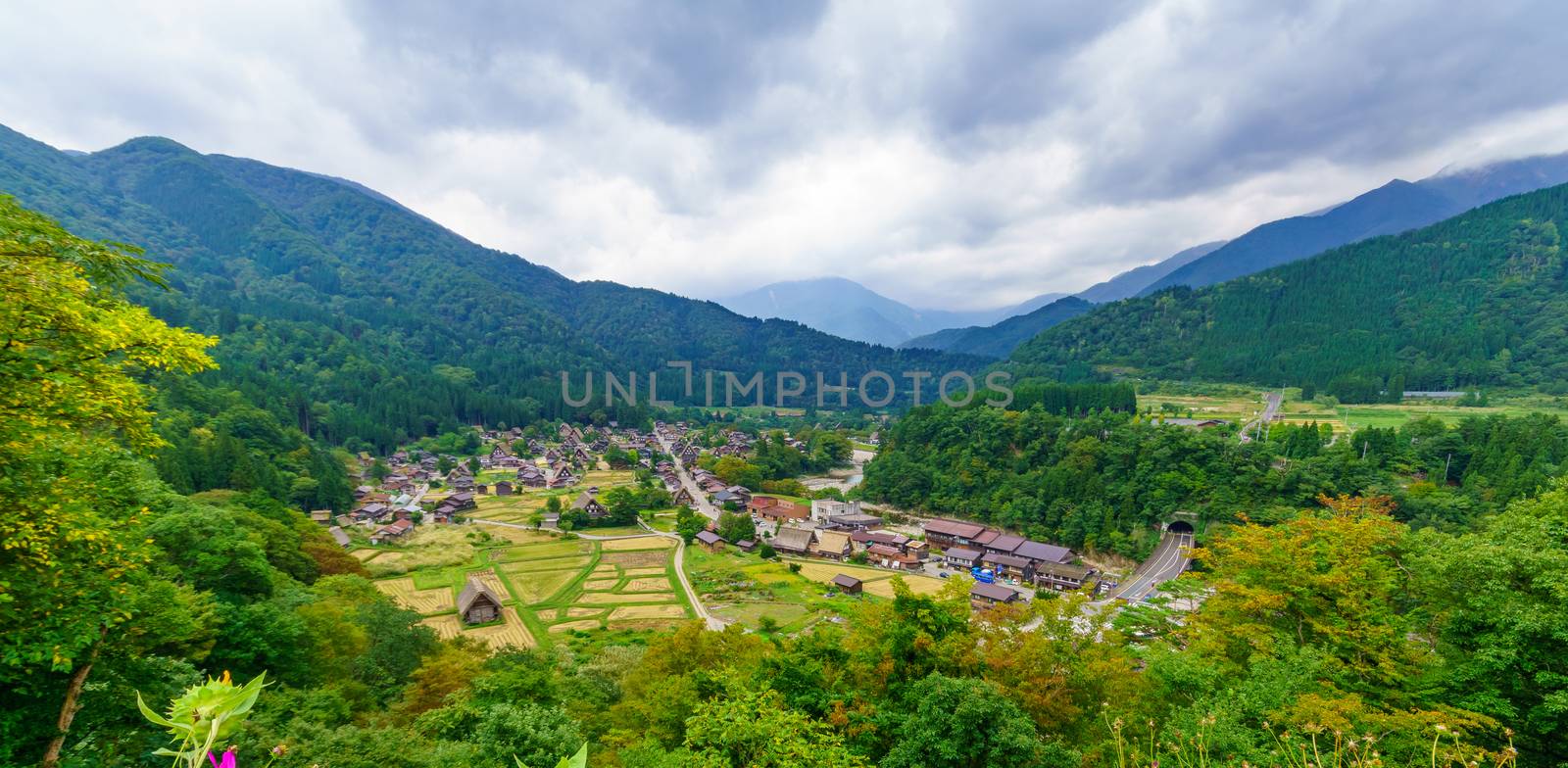 View of Ogimachi village with traditional gassho-zukuri farmhouses, in Shirakawa-go, Ono, Japan