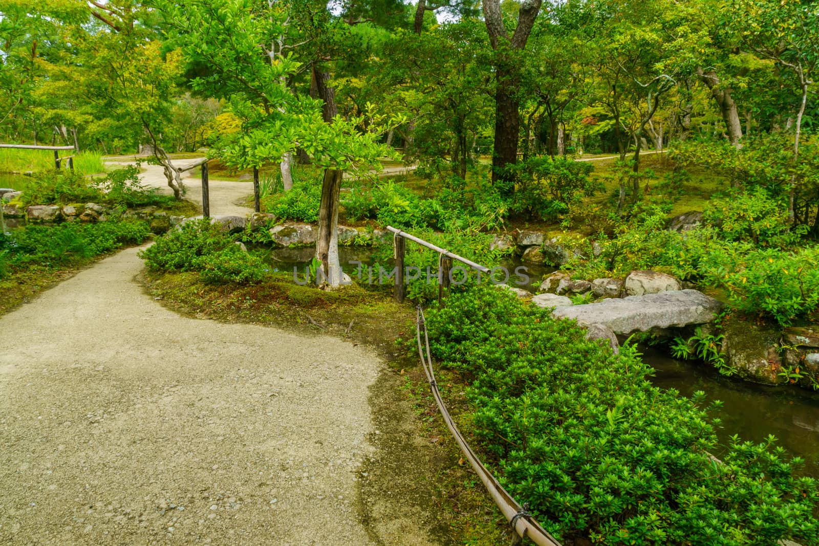 View of landscape in the Nara Park, Japan