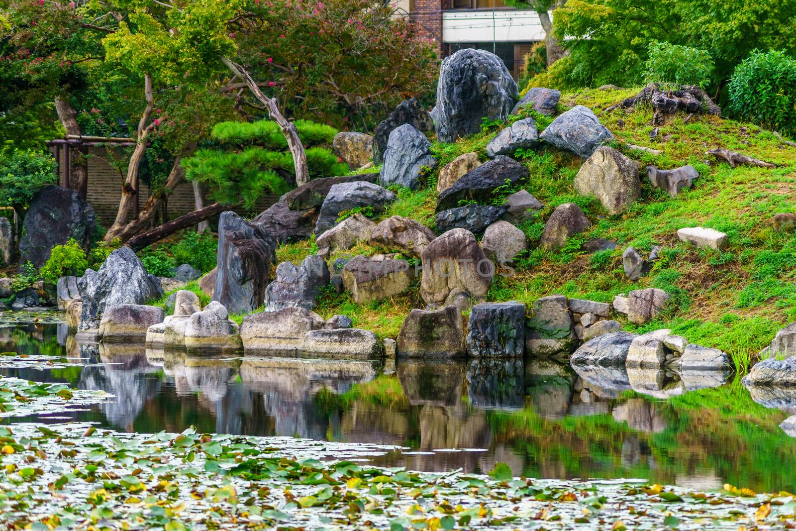View of pond and rock reflection in the Shosei-en Garden (Kikoku-tei), in Kyoto, Japan