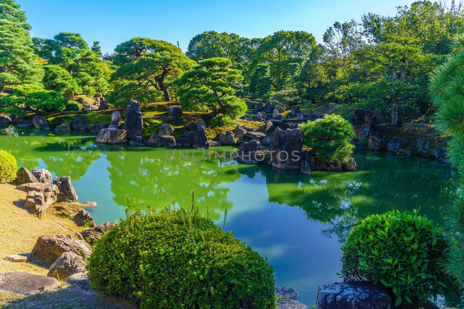 Garden in the Nijo Castle, Kyoto by RnDmS