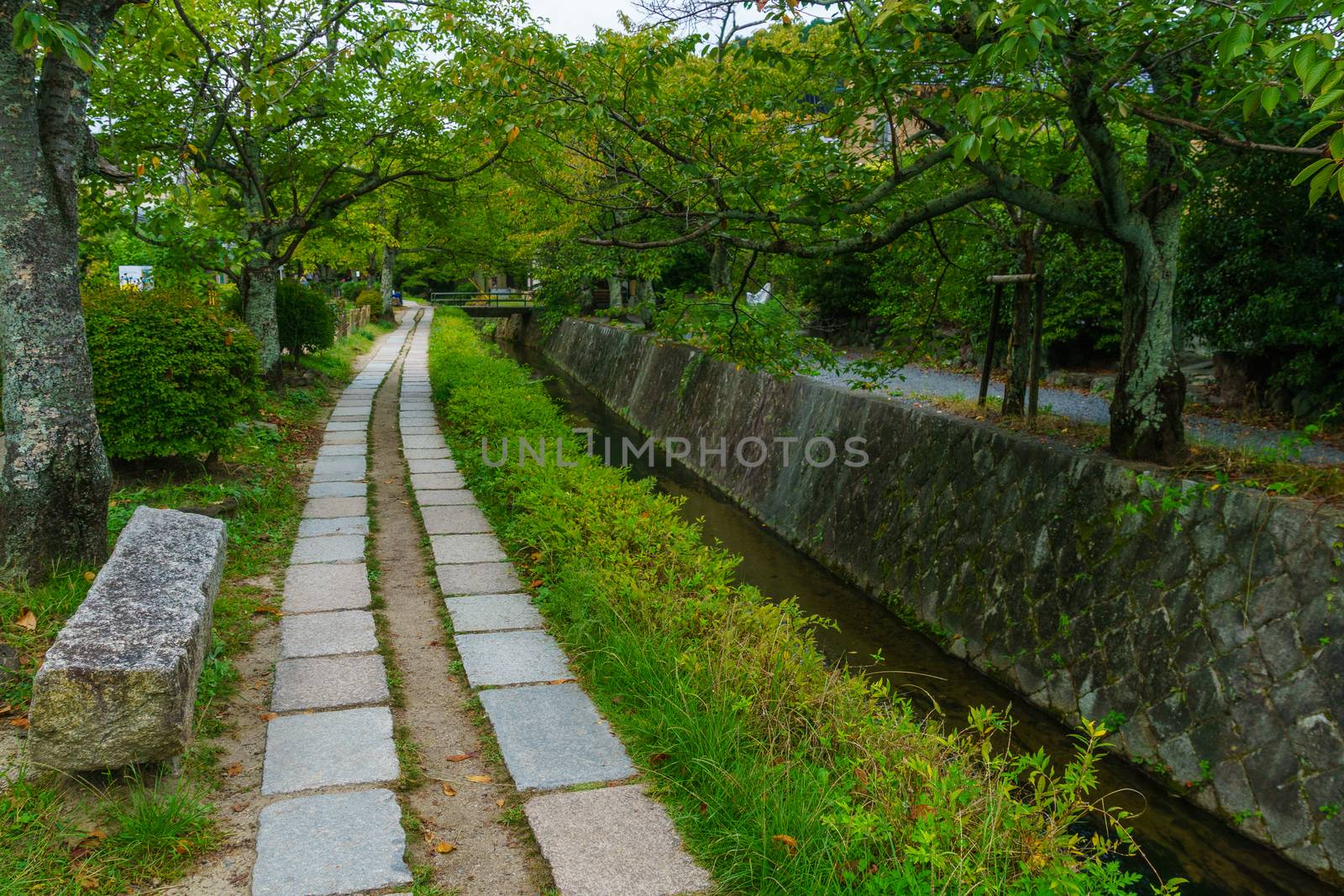 View of the Philosophers Path (Tetsugaku no michi), in Kyoto, Japan