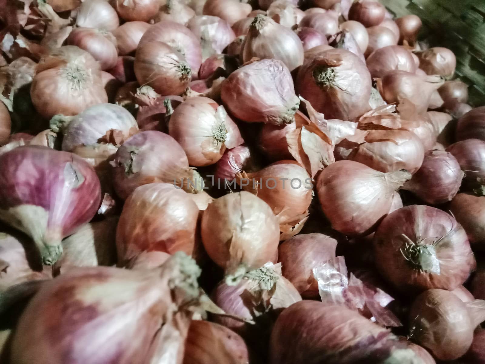 healthy and spicy onion stock on shop