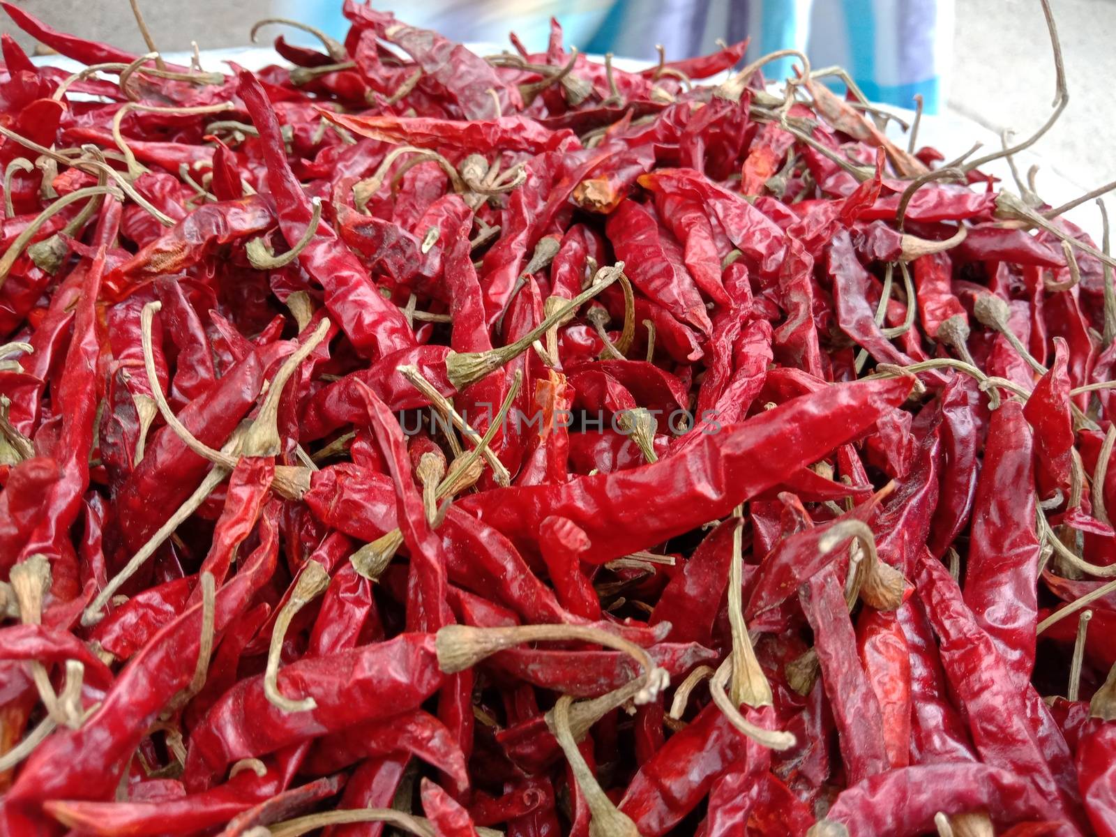 spicy and hot Dry Red Chilli stock on shop
