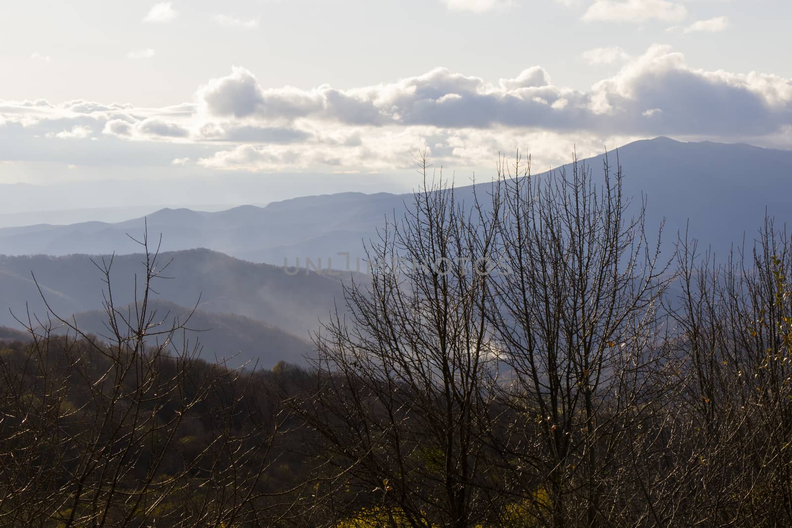 Autumn and fall landscape in Kakheti, Georgia. Nature background.