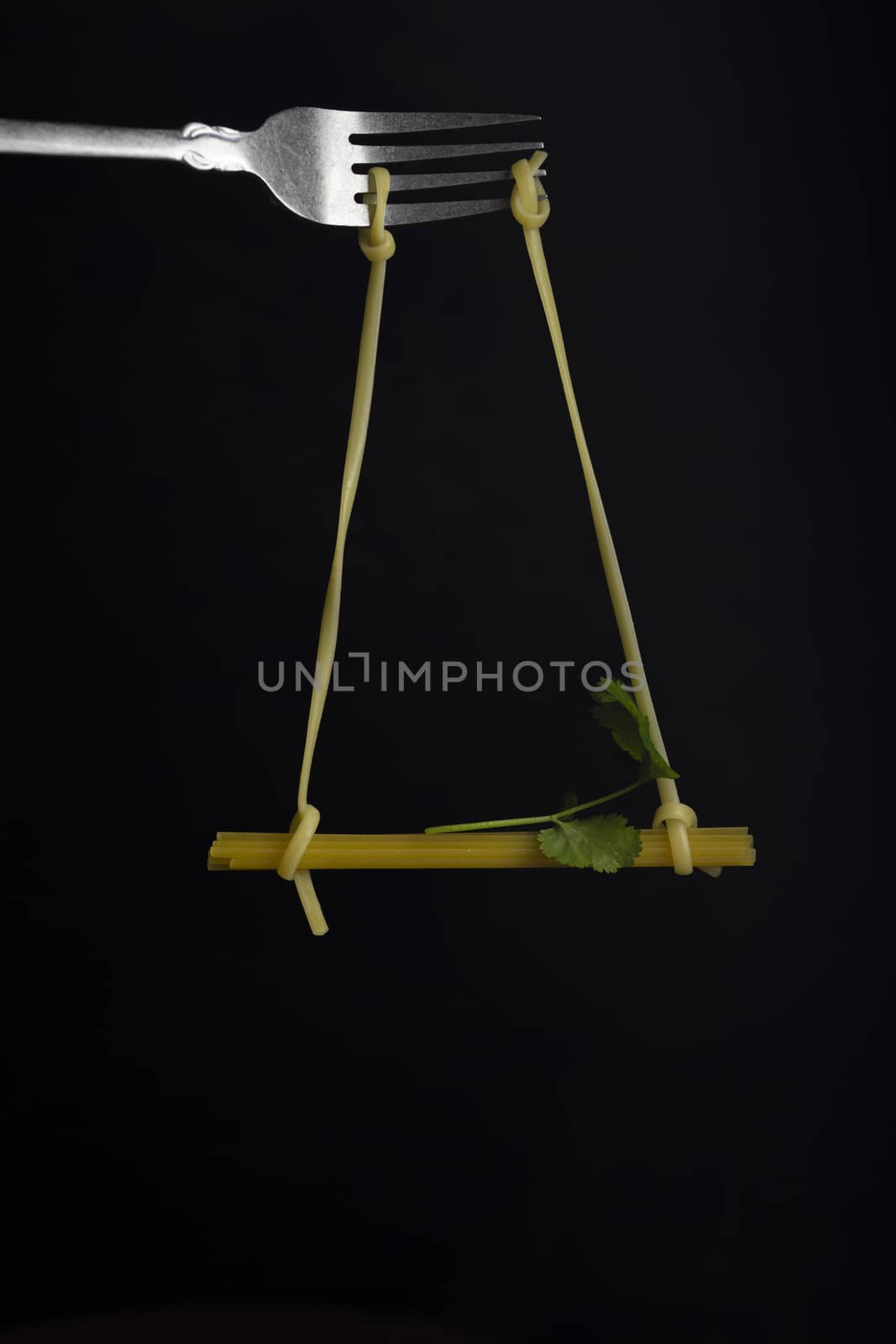 Spaghetti on a fork in front of black background. Swing from spaghetti by sashokddt