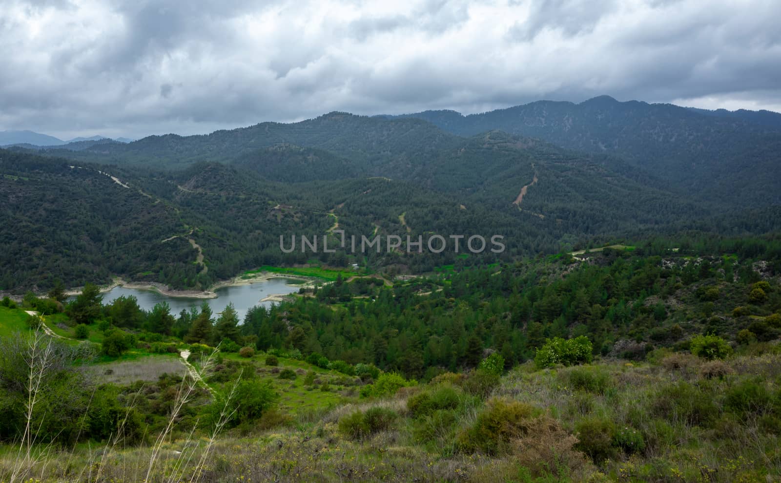 Forest-covered green hills on a bright Sunny summer day in the mountains of Central Cyprus.
