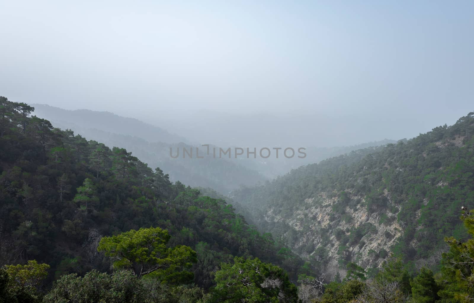 Forest-covered green hills on a bright Sunny summer day in the mountains of Central Cyprus.