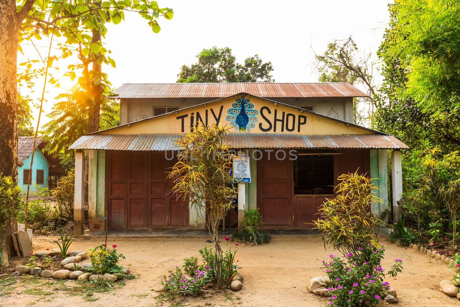 KAWASOTI, NEPAL - CIRCA MAY 2019: A small shop called Tiny Shop in Chitwan region.