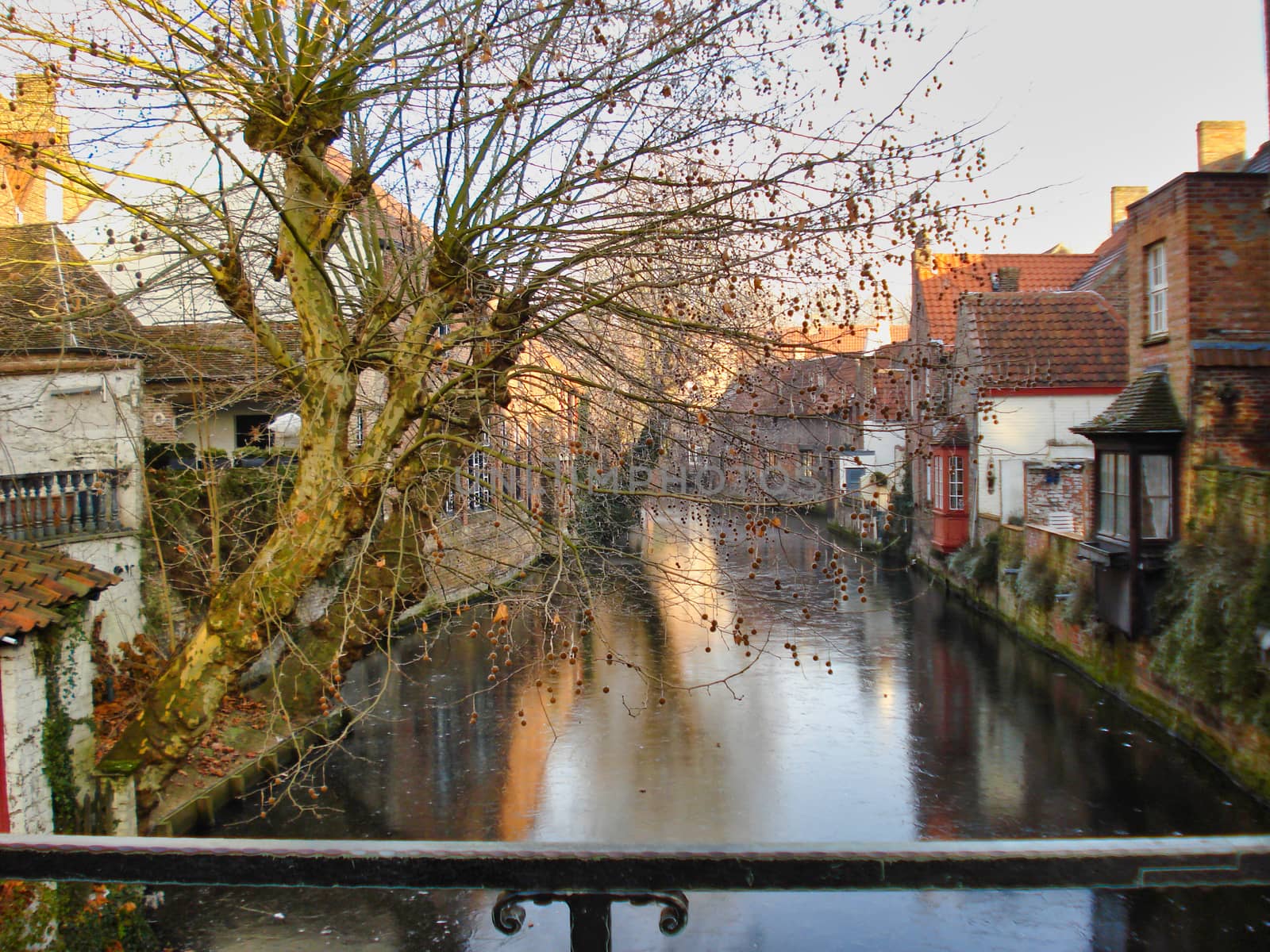 View on a treelined canal in Bruges during winter, on a sunny day by kb79