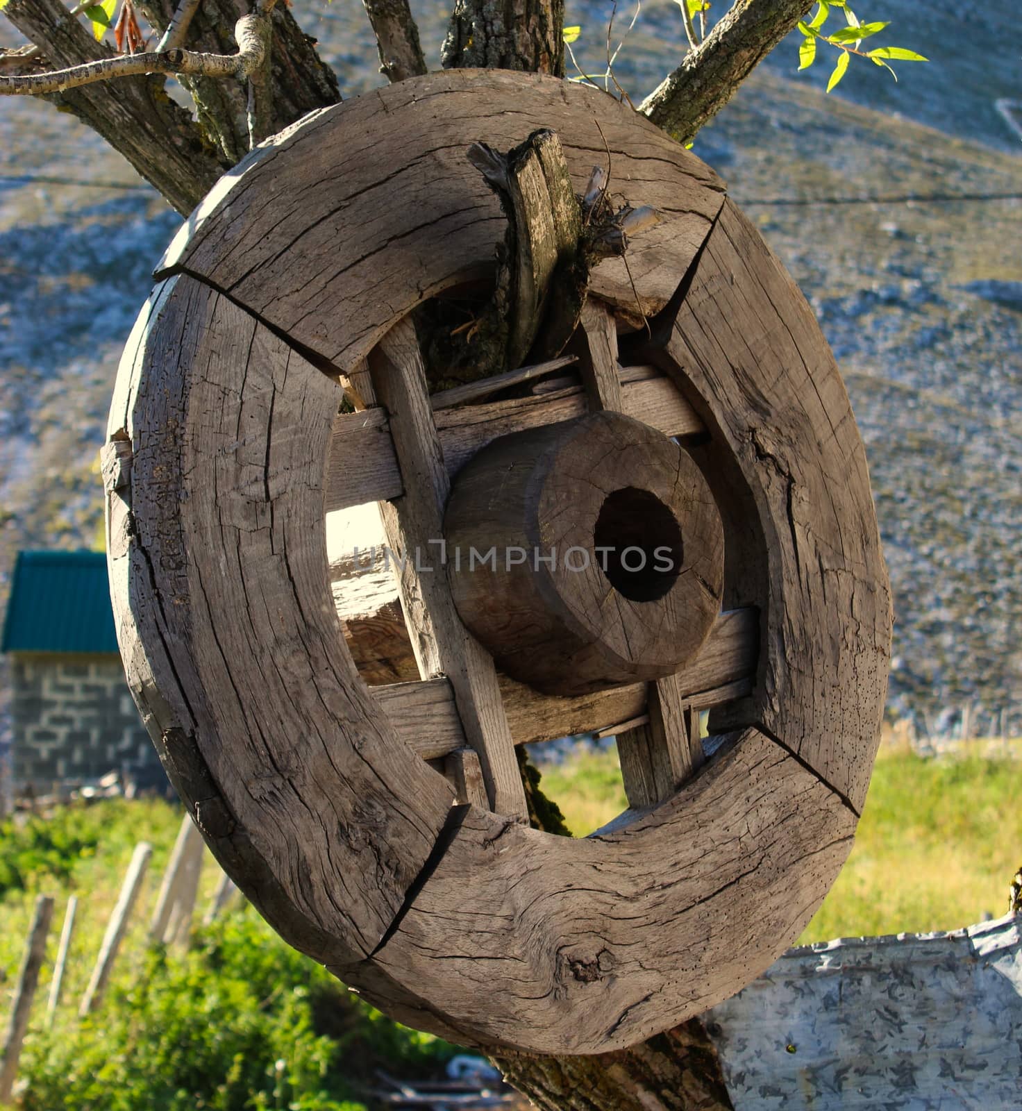 A wooden wheel hung on a tree in the old Bosnian village of Lukomir. Bjelasnica Mountain, Bosnia and Herzegovina.