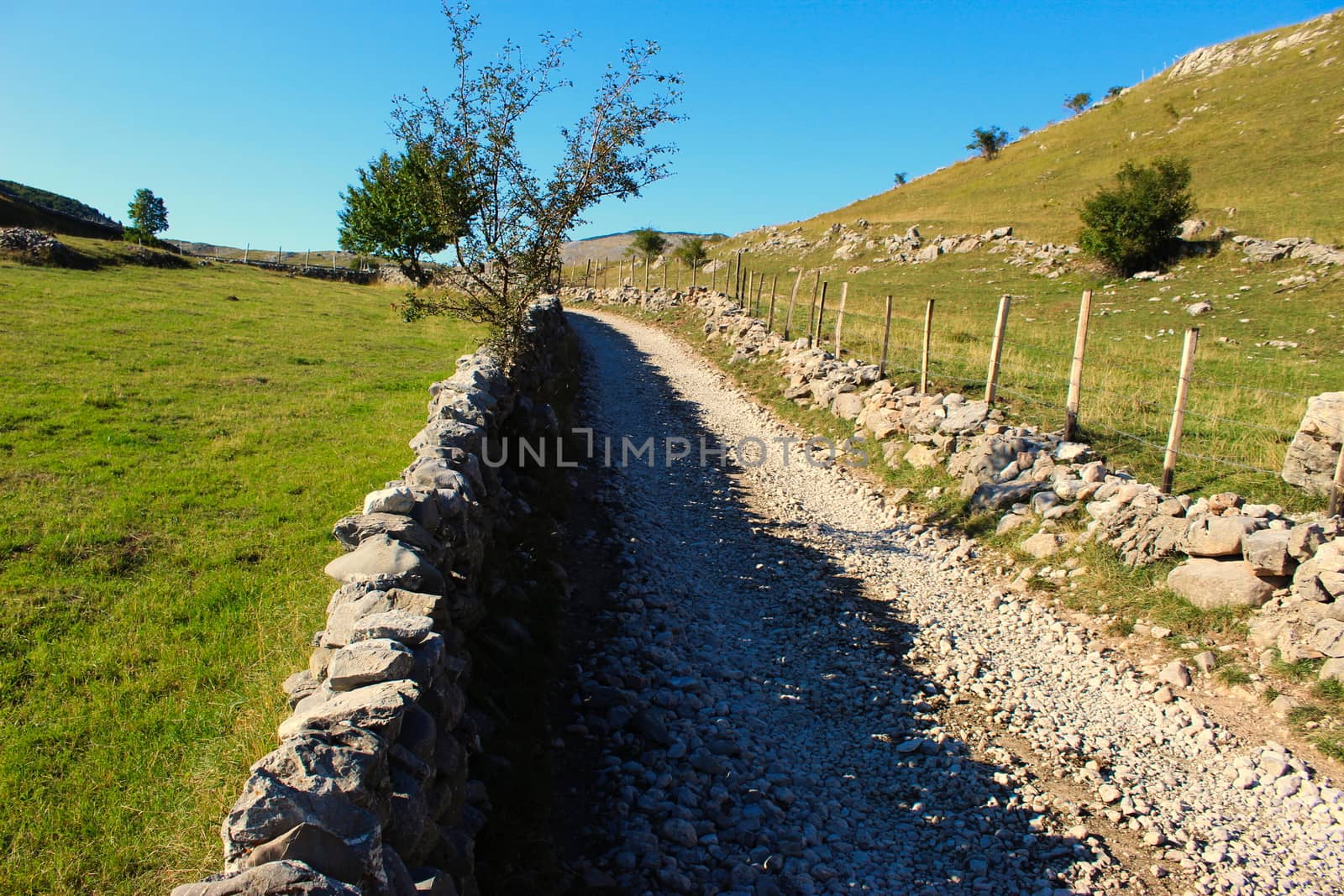 A road surrounded by stones, stones stacked in a wall on the side of the road. Road to the old Bosnian village of Lukomir. Bjelasnica Mountain, Bosnia and Herzegovina.