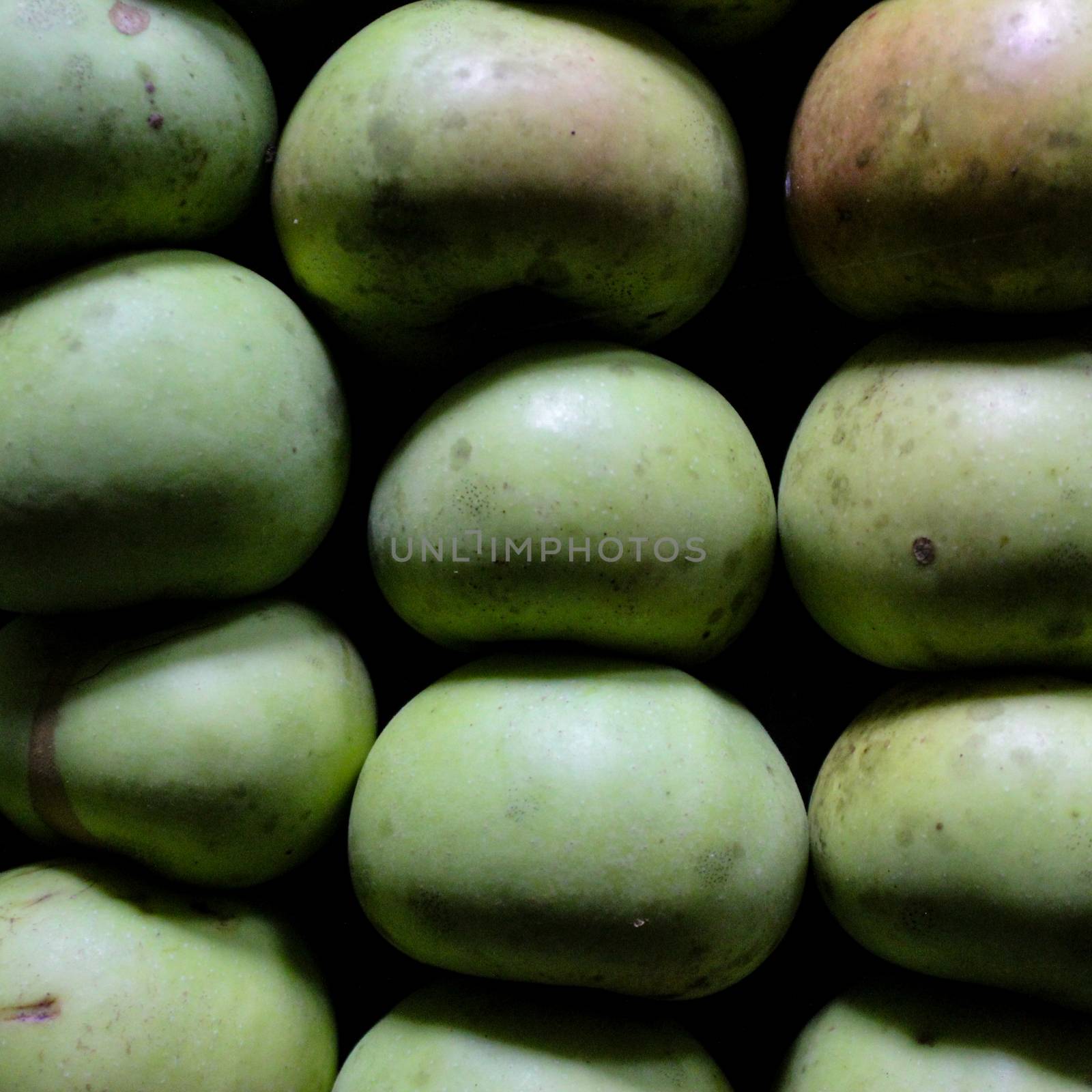 Homemade apples of different sizes perfectly stacked in a crate. Apples in a crate in a storeroom in a dark room to keep them lasting longer. Variety Kanicka. Zavidovici, Bosnia and Herzegovina.