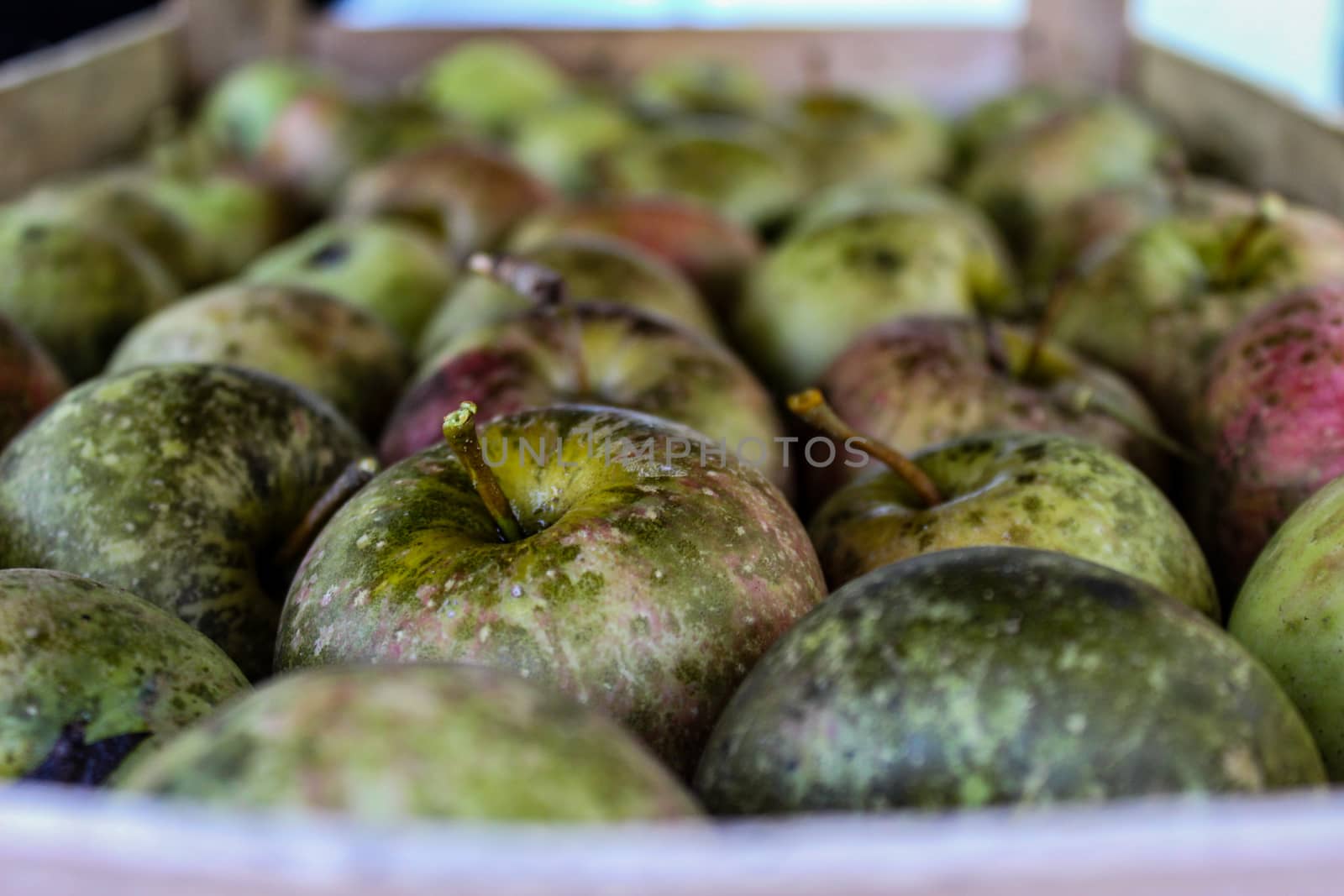 Homemade apples of different sizes perfectly stacked in a crate. Apples have various stains and markings on them. Zavidovici, Bosnia and Herzegovina.