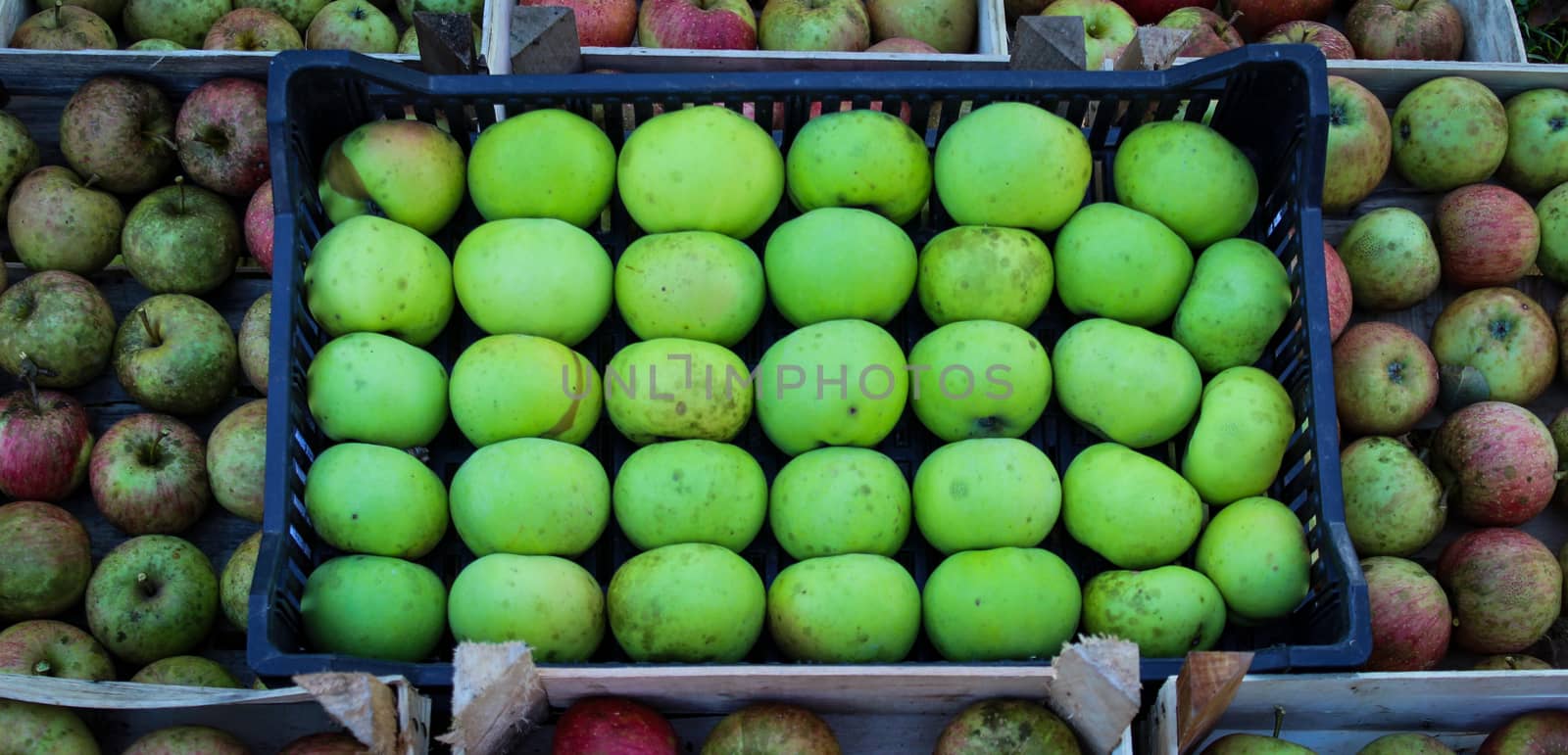 A crate of green apples in the middle among other red apples. by mahirrov