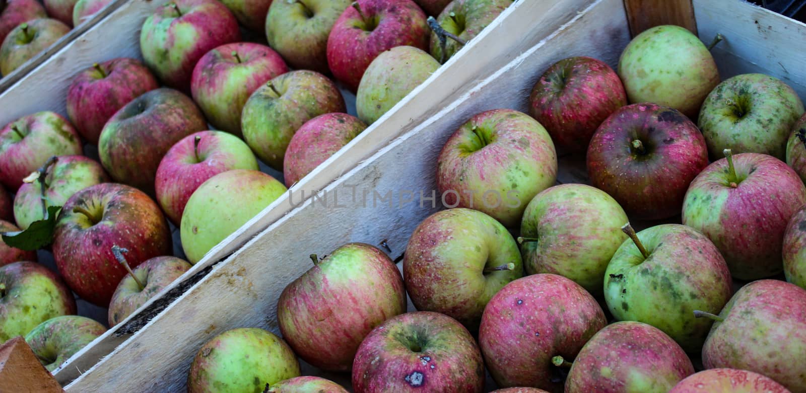Banner. Picked apples in wooden crates ready for sale. Organic apples. Zavidovici, Bosnia and Herzegovina.