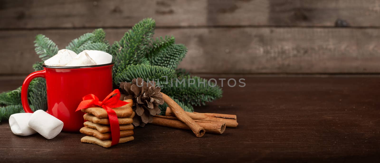 Cocoa hot chocolate in red mug with marshmallows candy cane gingerbread cookies fir tree branches and red berries on dark wooden background