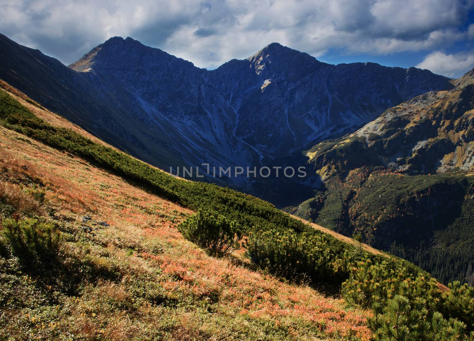 seasonal landscape background view of autumn mountain ridge
