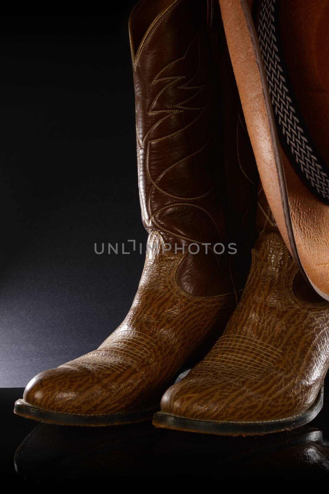 Leather Cowboy Boots by AlphaBaby