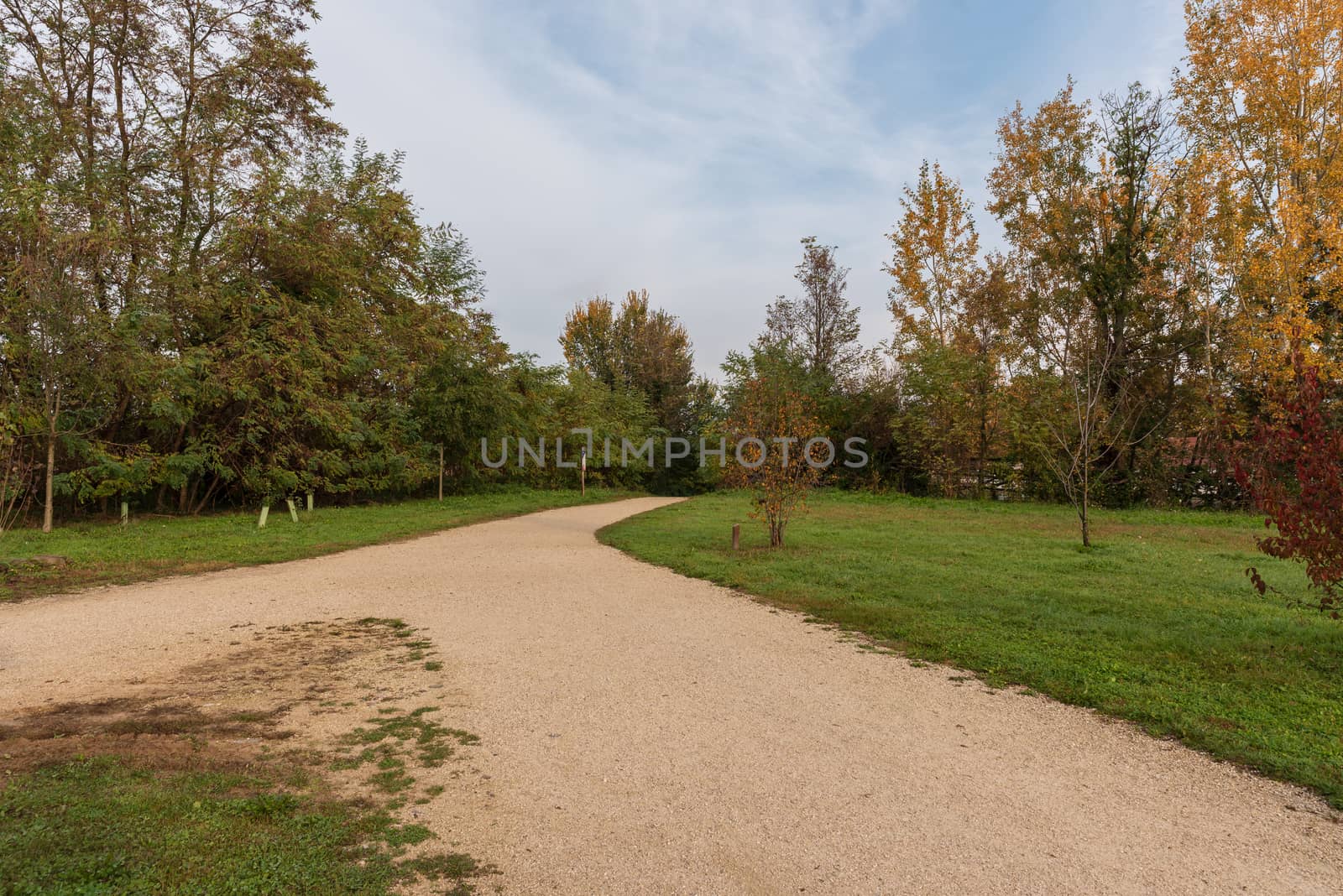 City park on an autumn morning, outdoor images