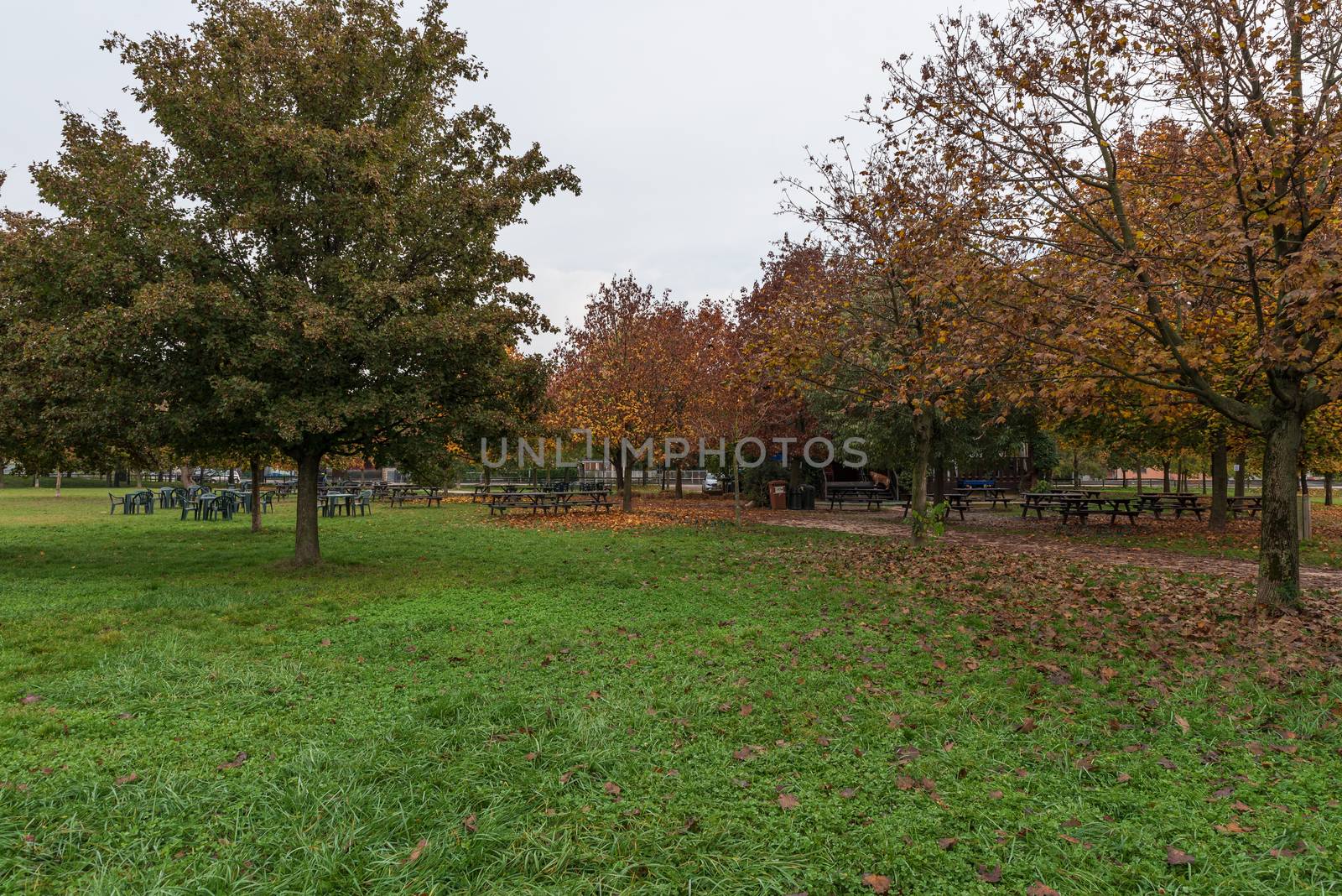 City park on an autumn morning, outdoor images